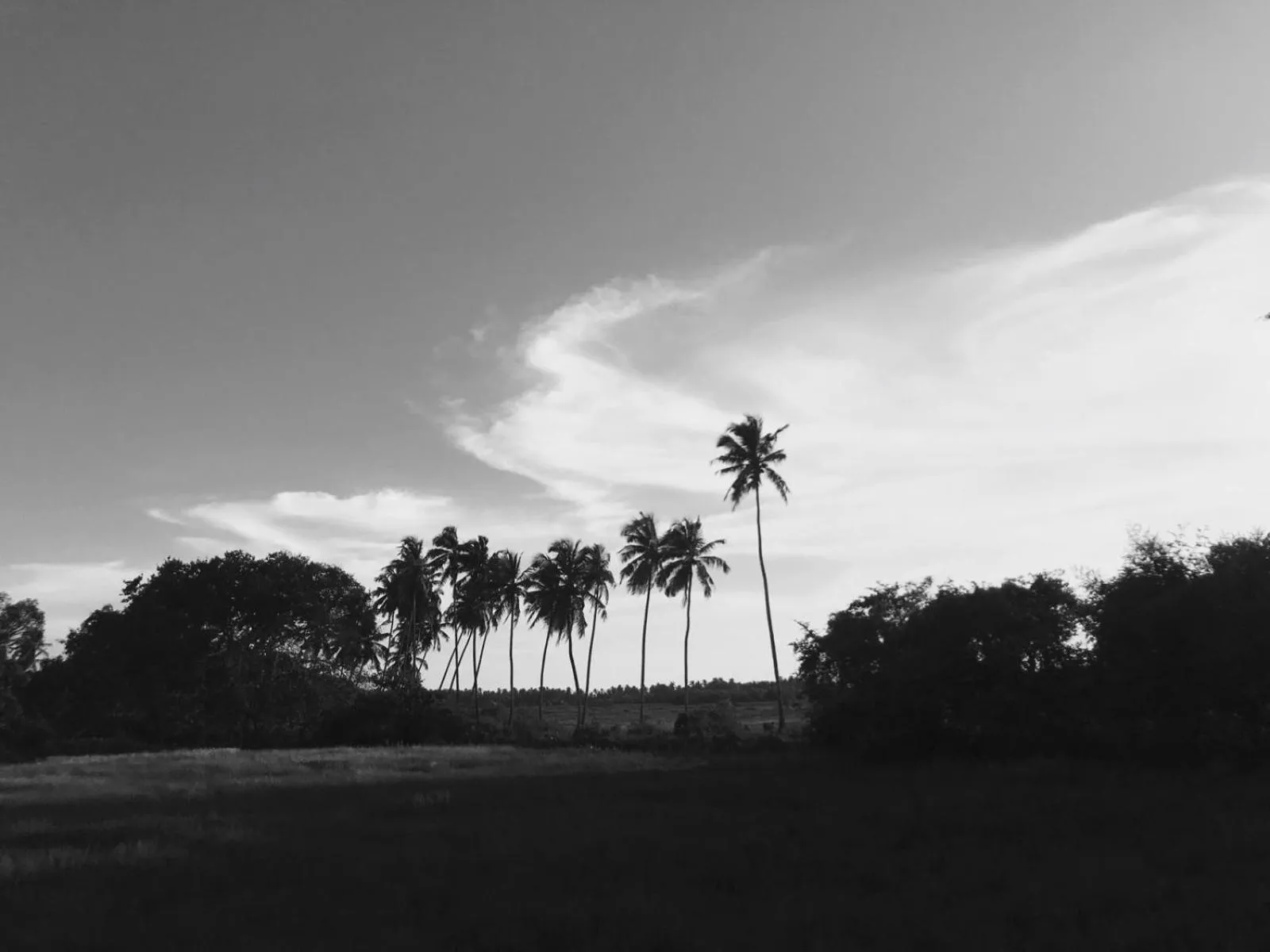 Property building in Craft Hostels