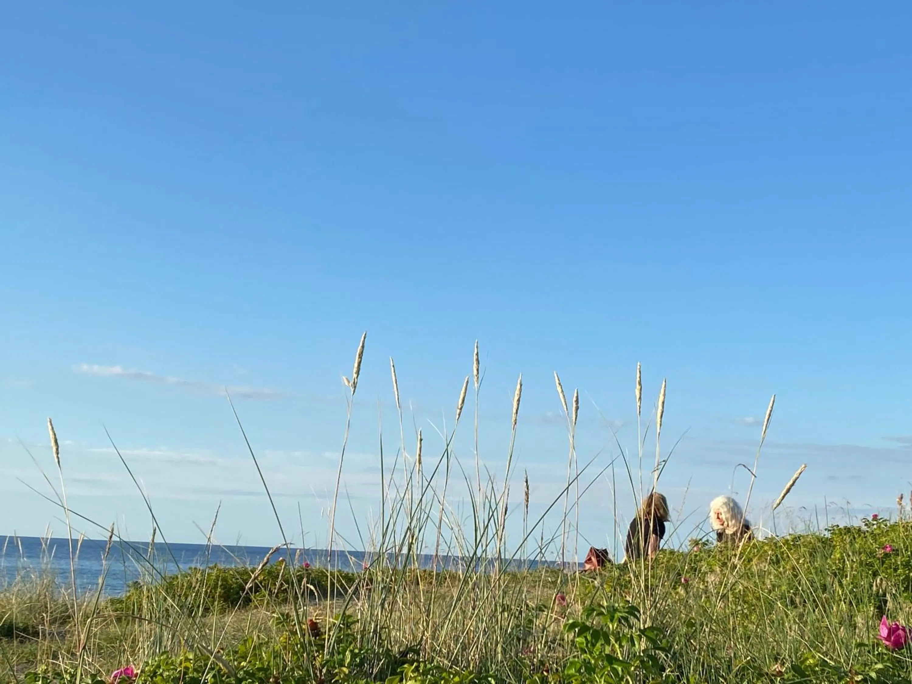 Beach in Liseleje Badehotel