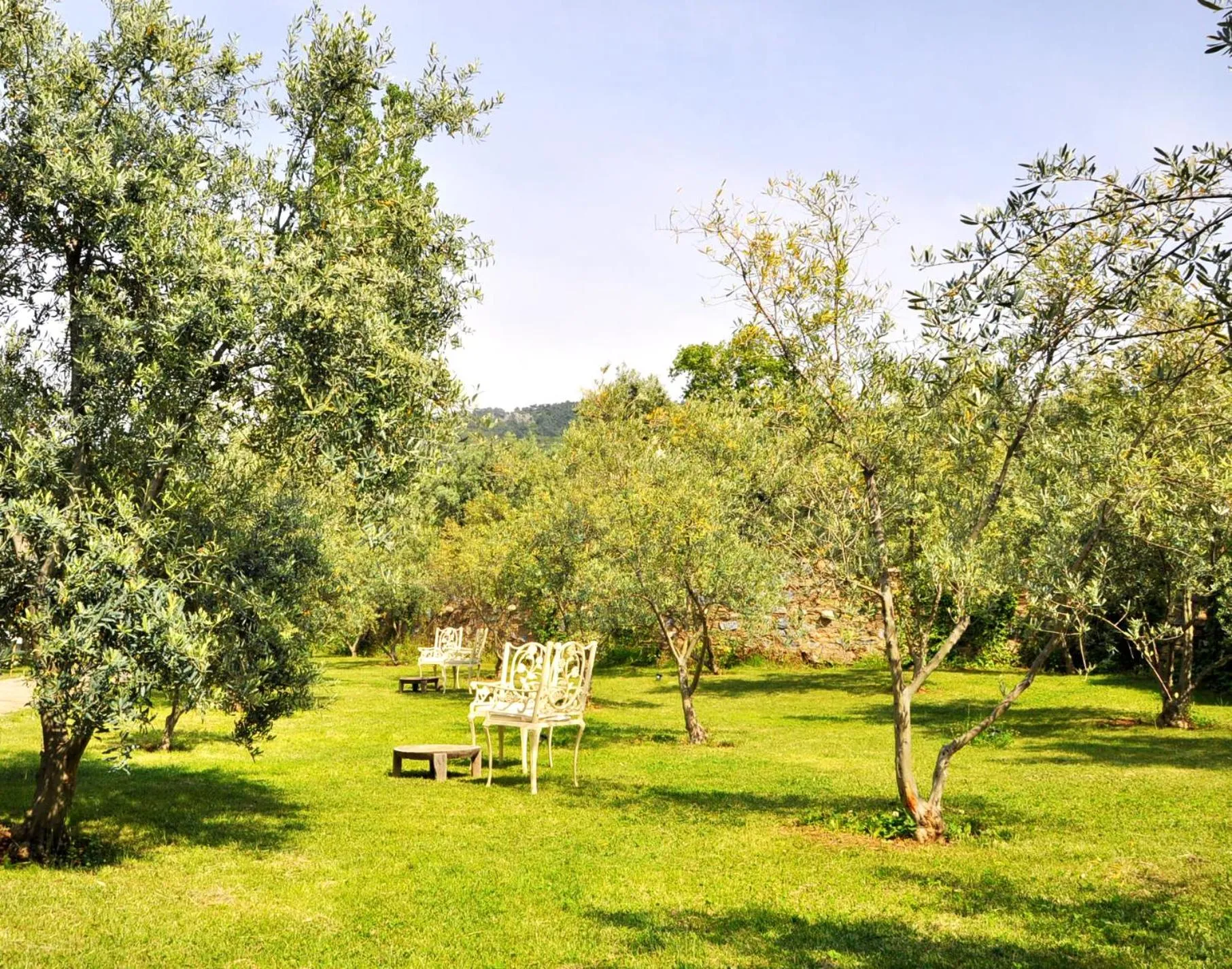 Garden in Gullu Konaklari