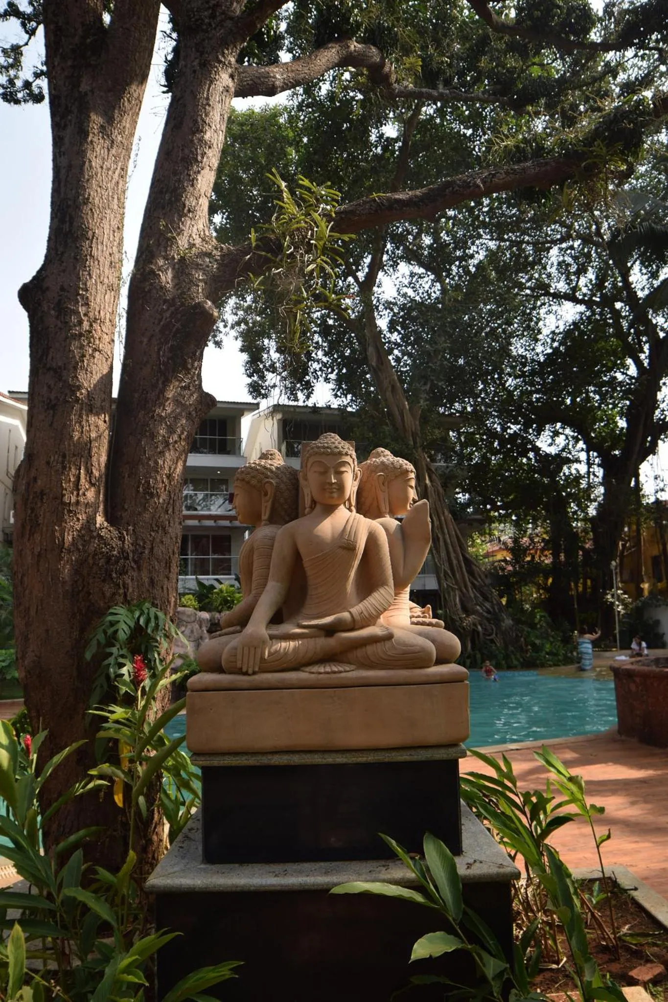 Garden view in The Eternal Wave by Krish Retreat