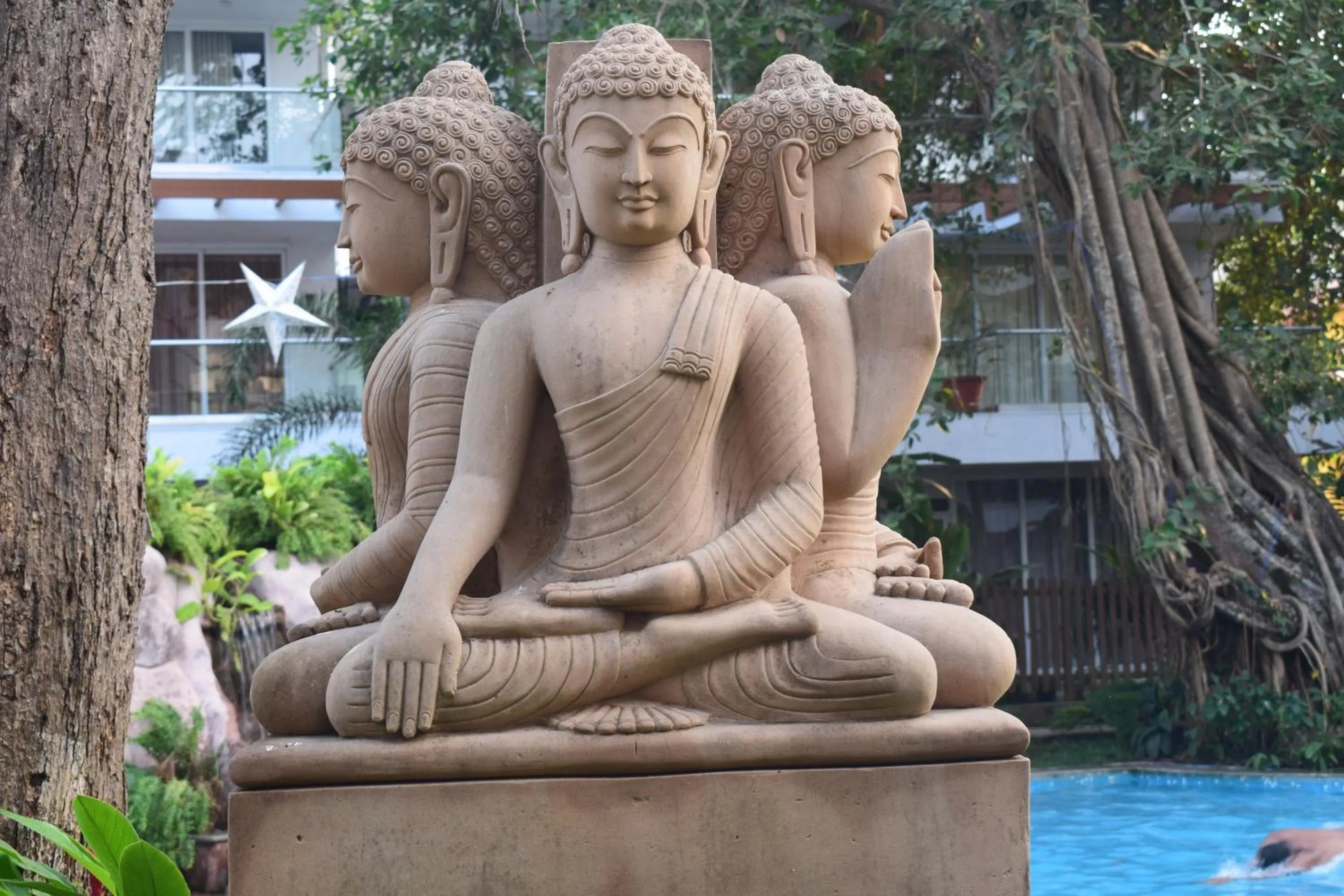 Garden view in The Eternal Wave by Krish Retreat