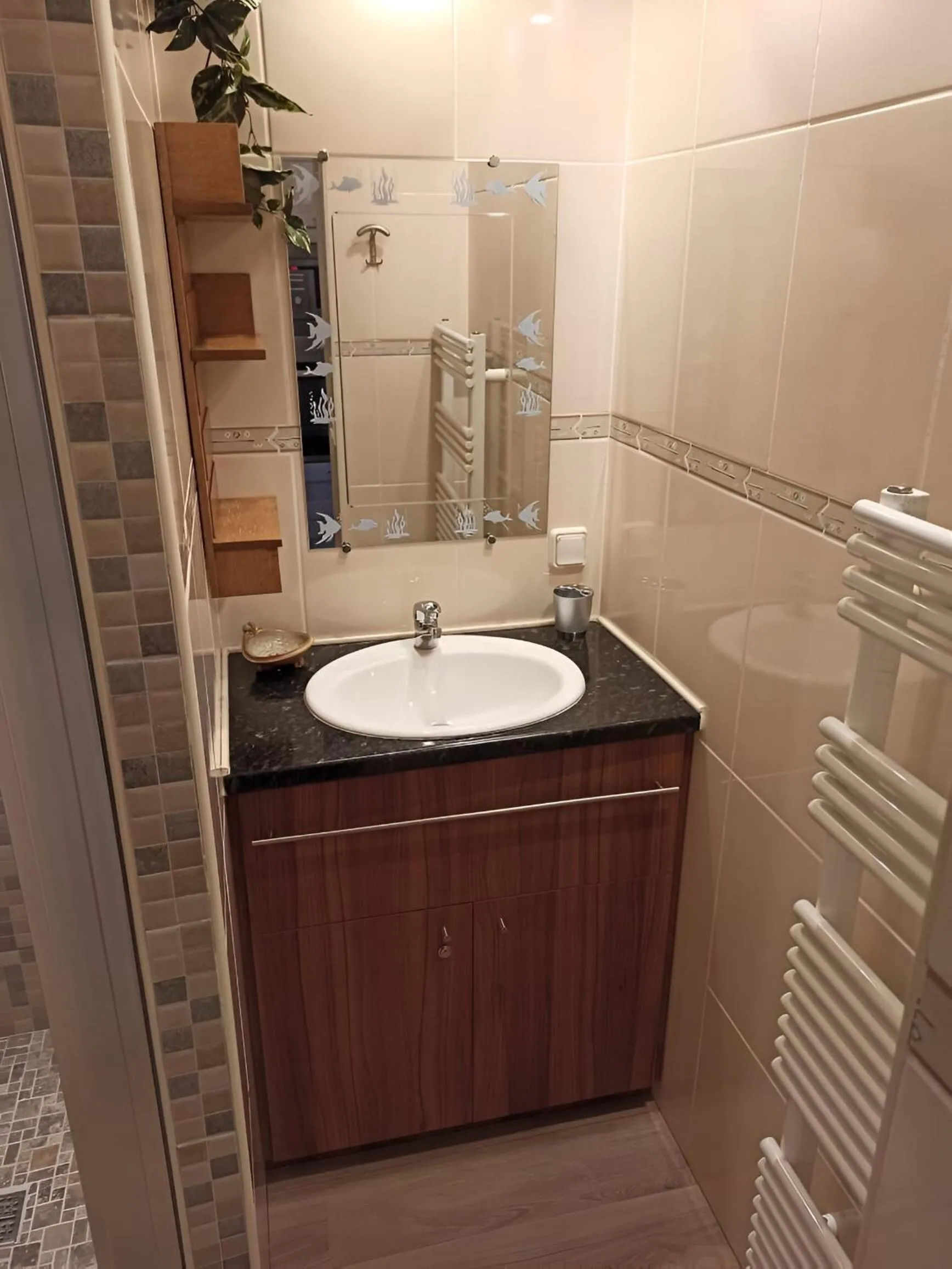 Bathroom in Altissim Tres Estrelles