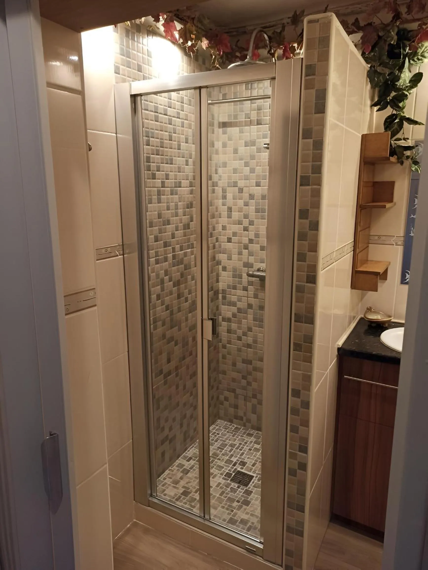 Shower in Altissim Tres Estrelles