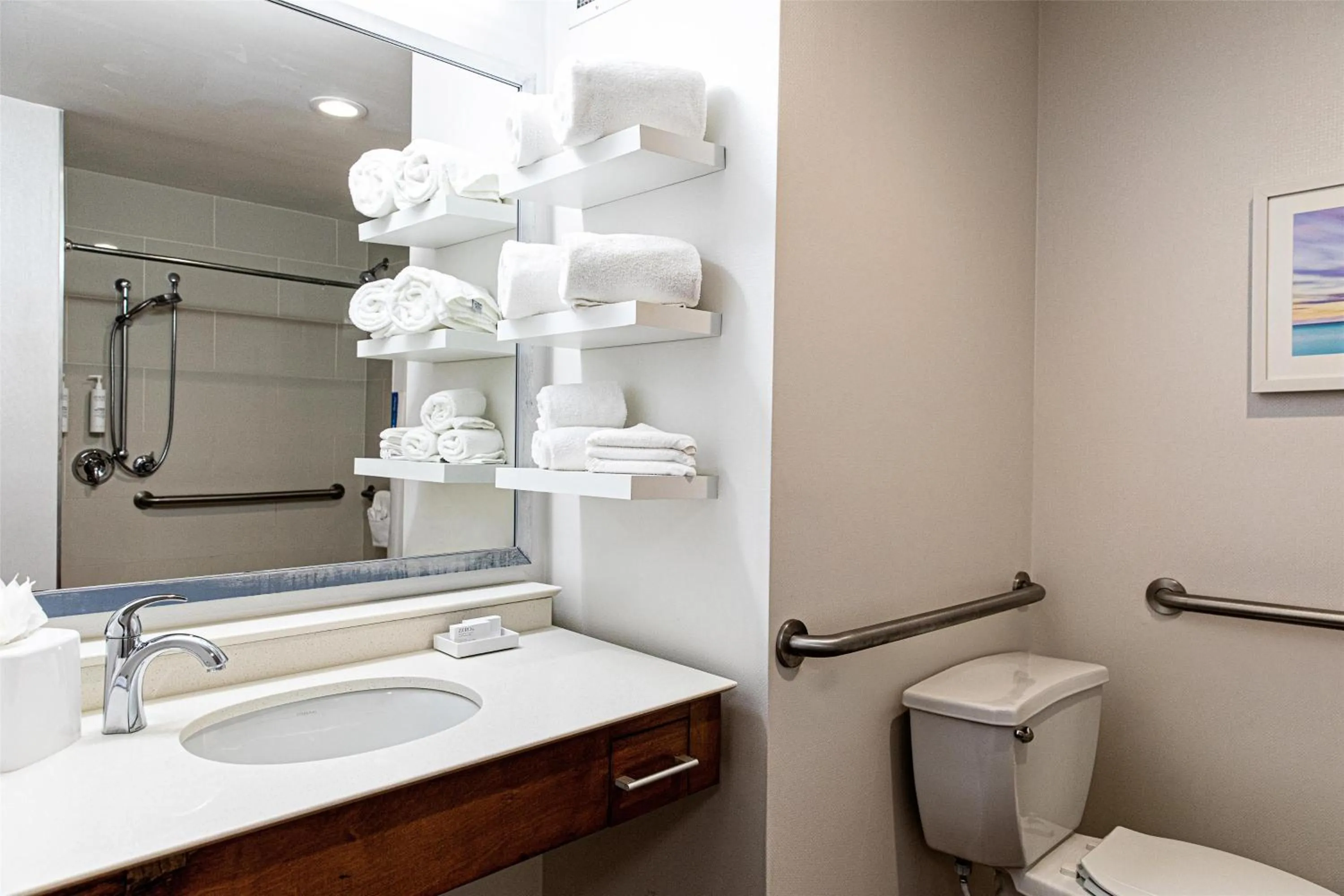 Bathroom in Hampton Inn Charleston-Daniel Island