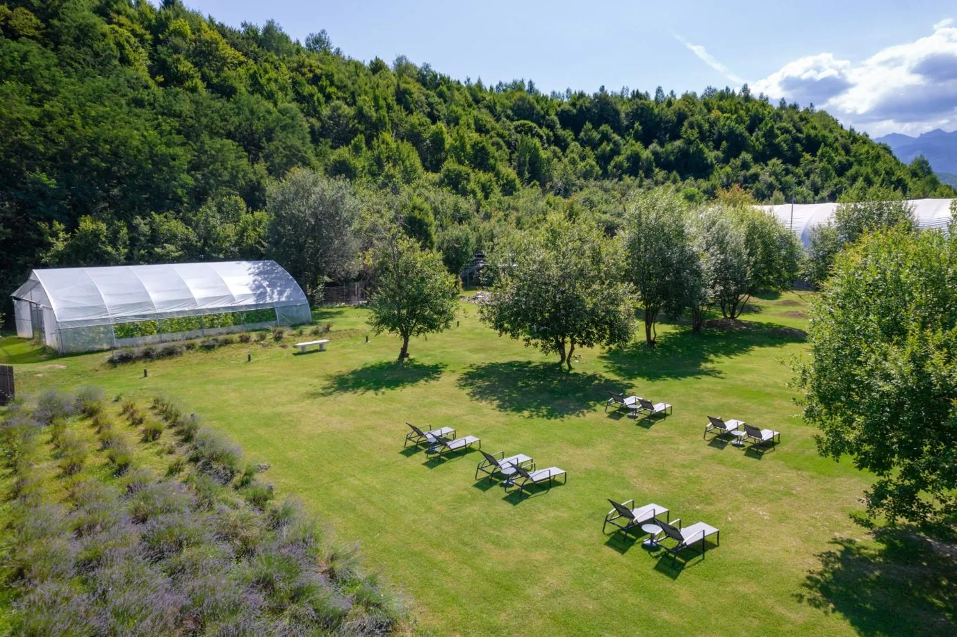 Garden in Pensiunea Negoiu