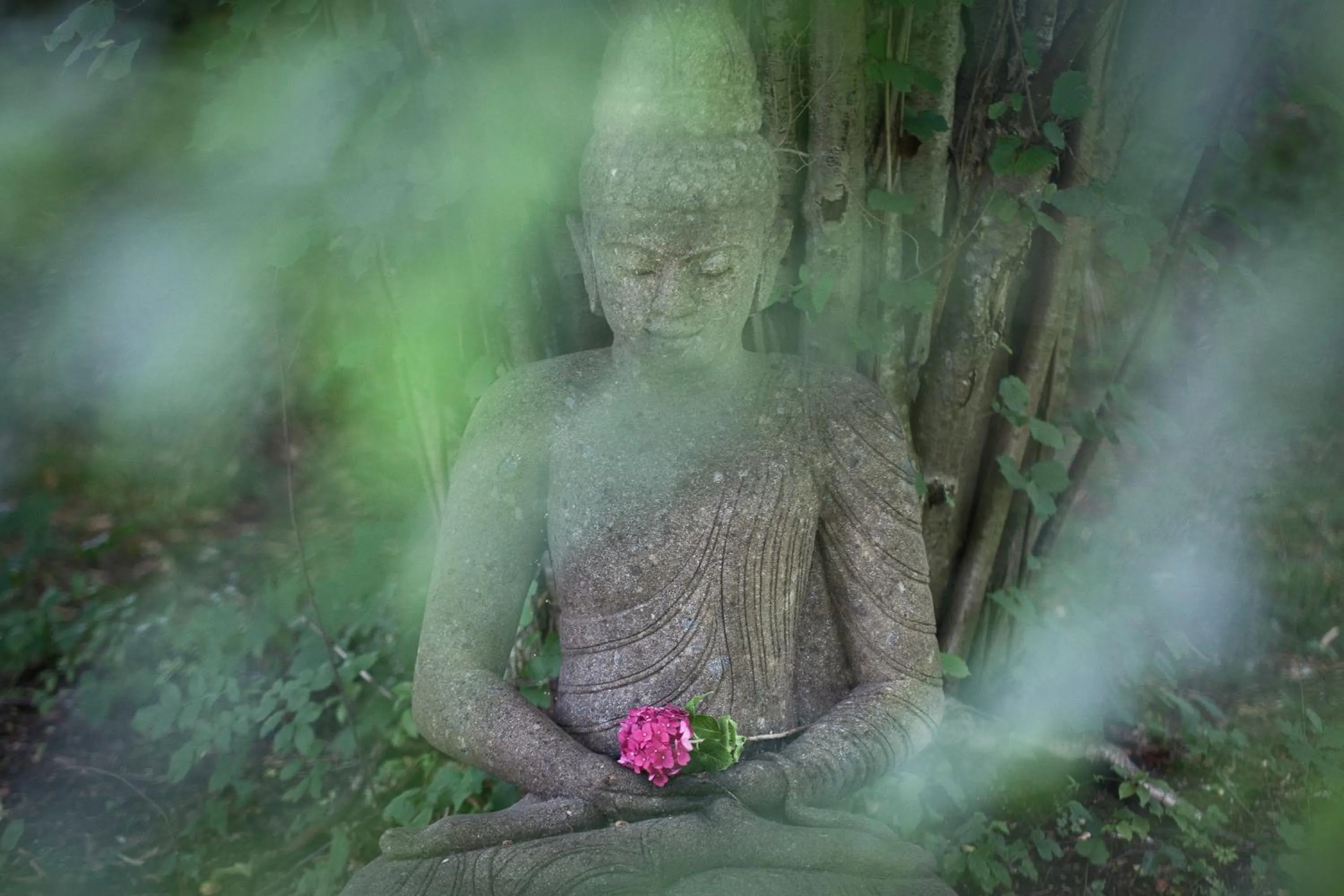 Other in Villa Adolphine