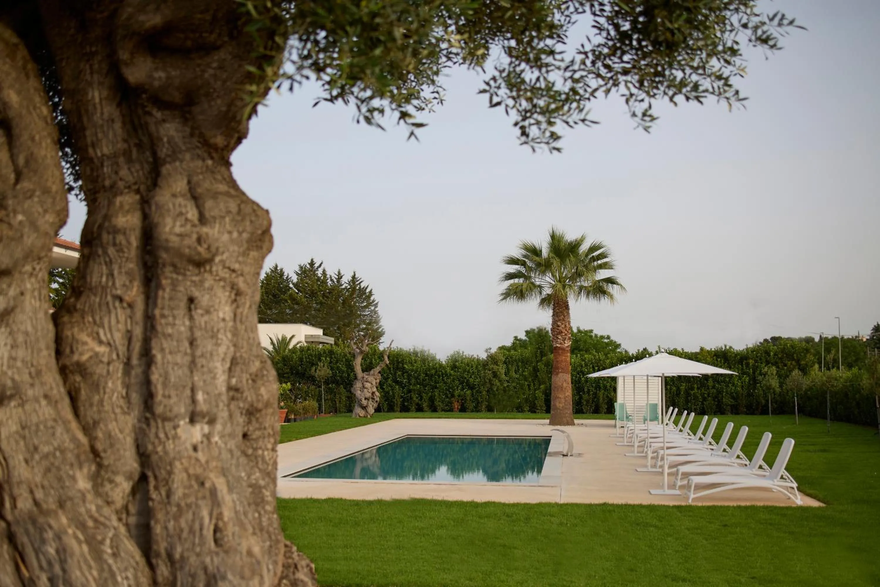 Day in B&B Le Bianche