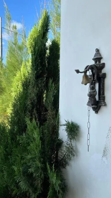 Decorative detail in Casa Retrô Chique Bananeiras - Cond Yes Banana