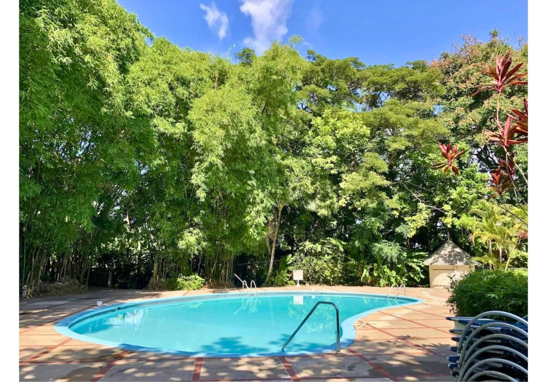 Swimming pool in Tropical Escape Villa