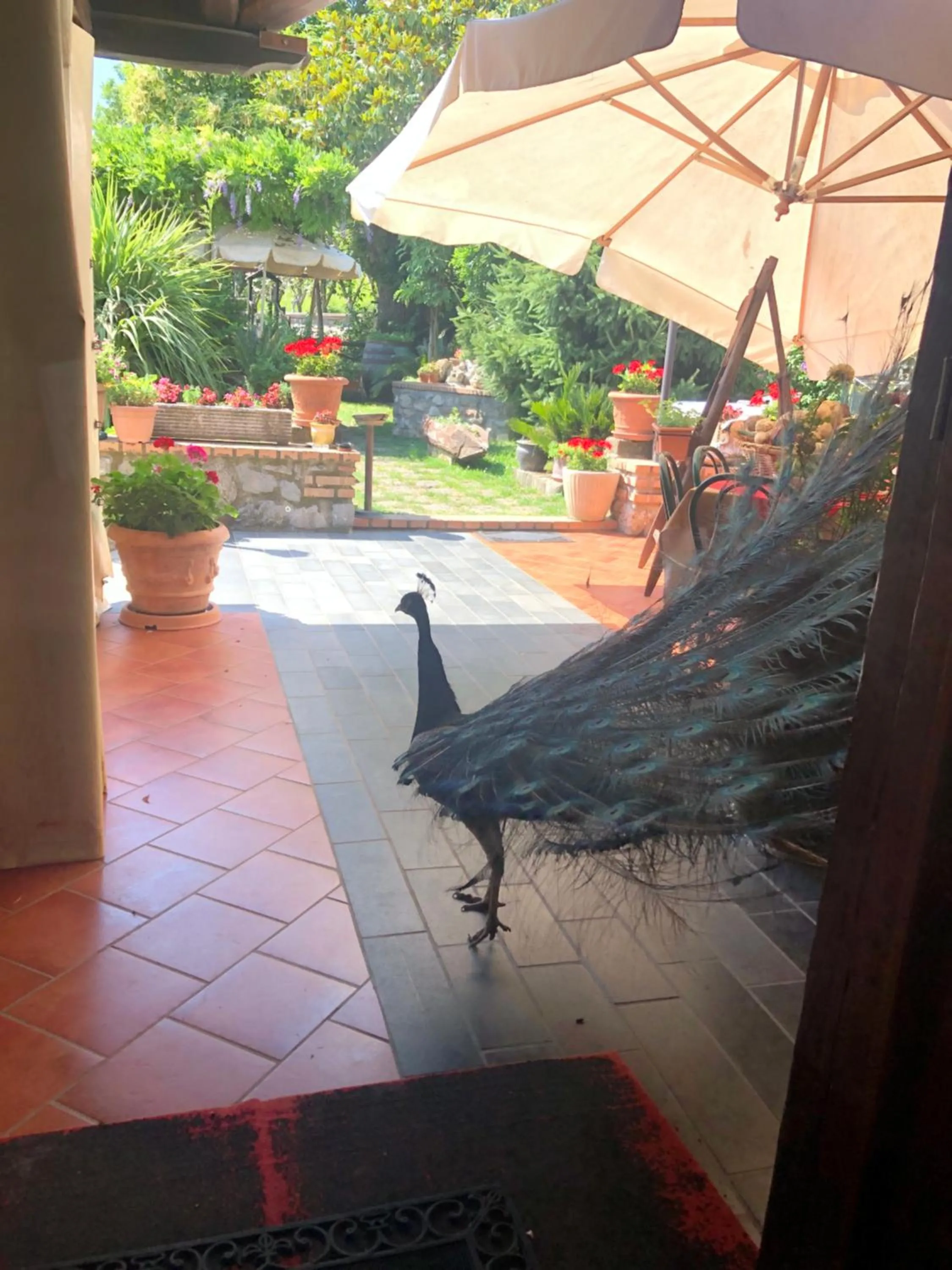 Patio in Agriturismo La Baita