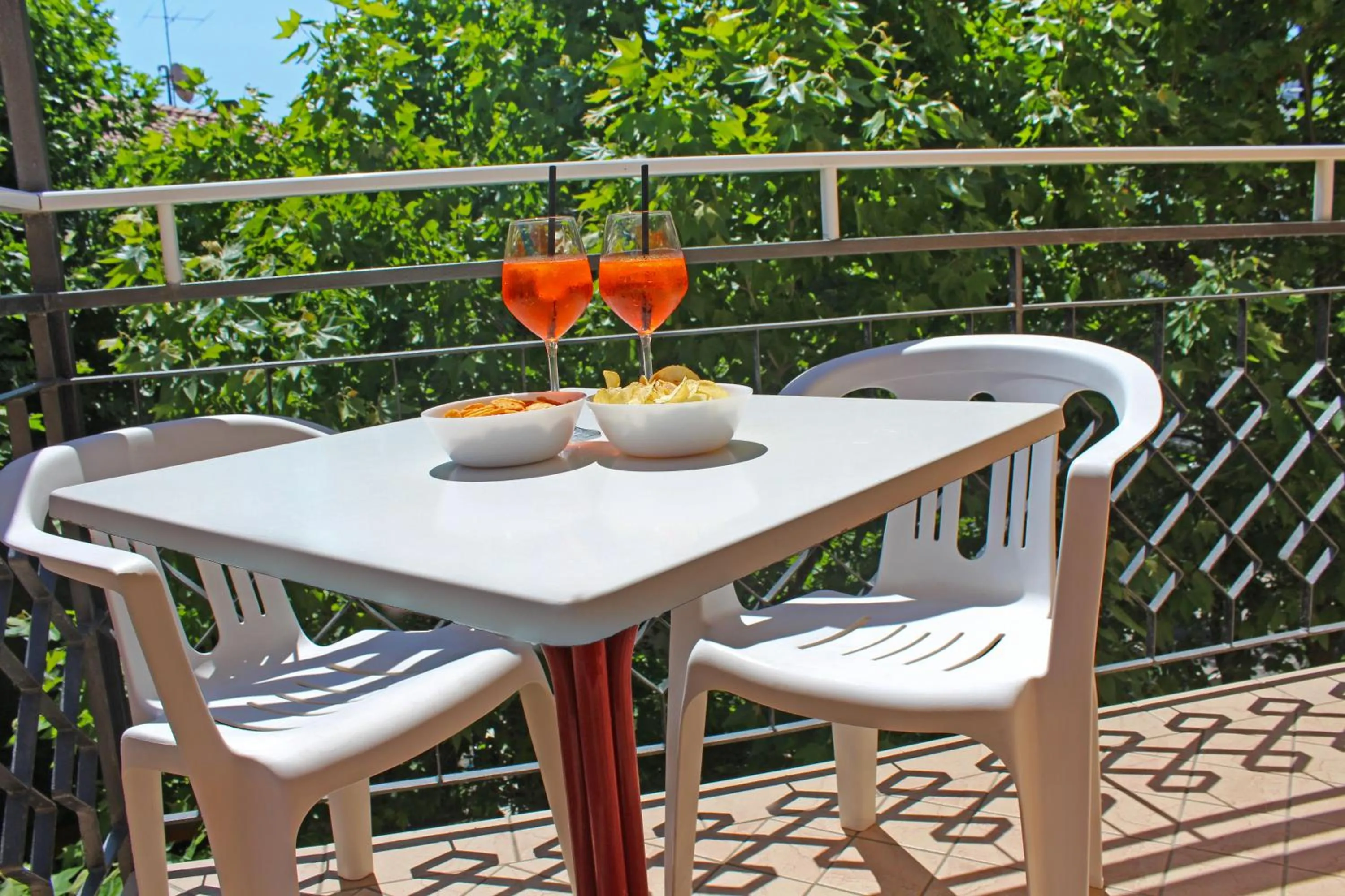 Balcony/Terrace in Hotel Silvia