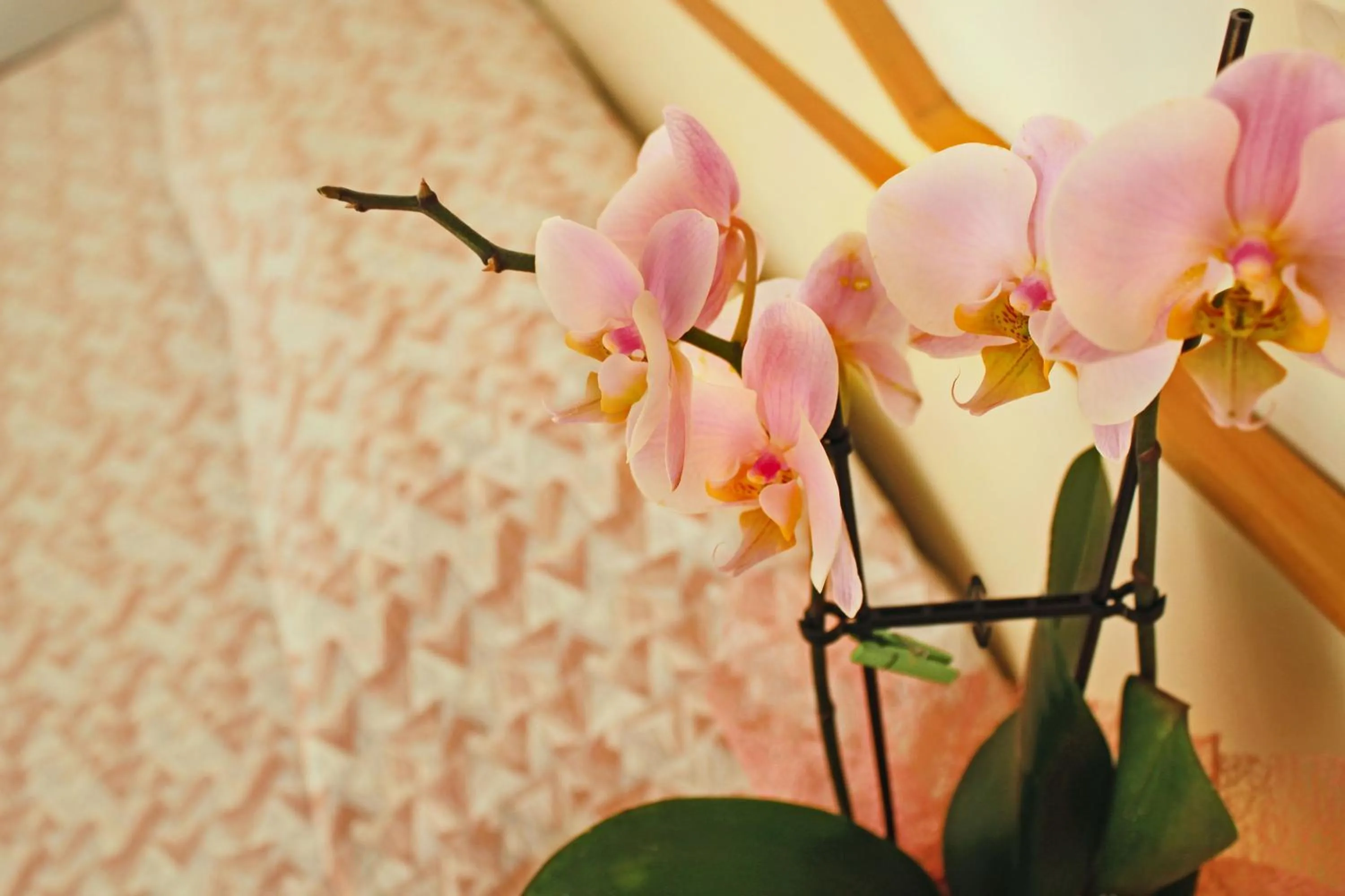 Bedroom in Hotel Silvia