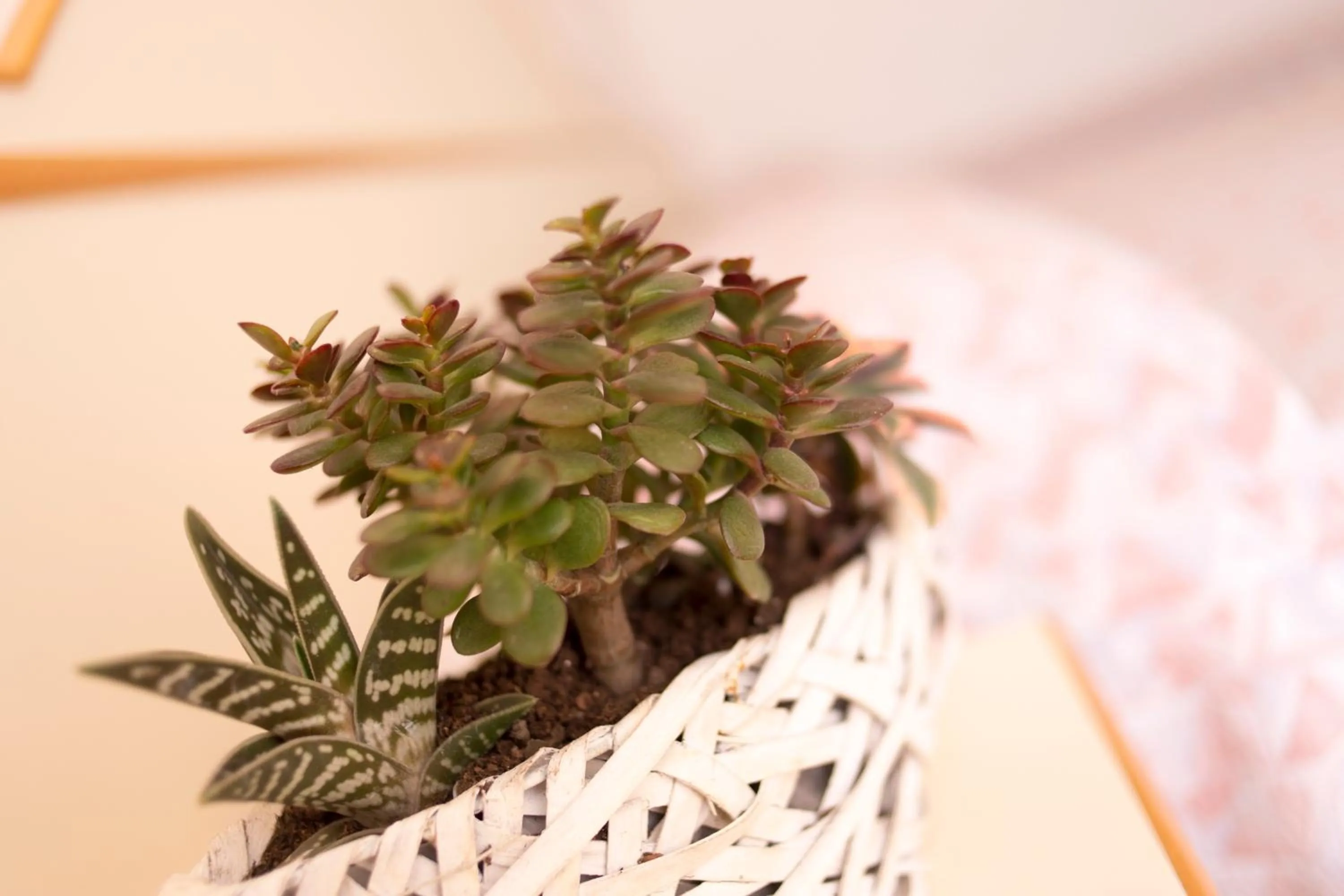 Decorative detail in Hotel Silvia