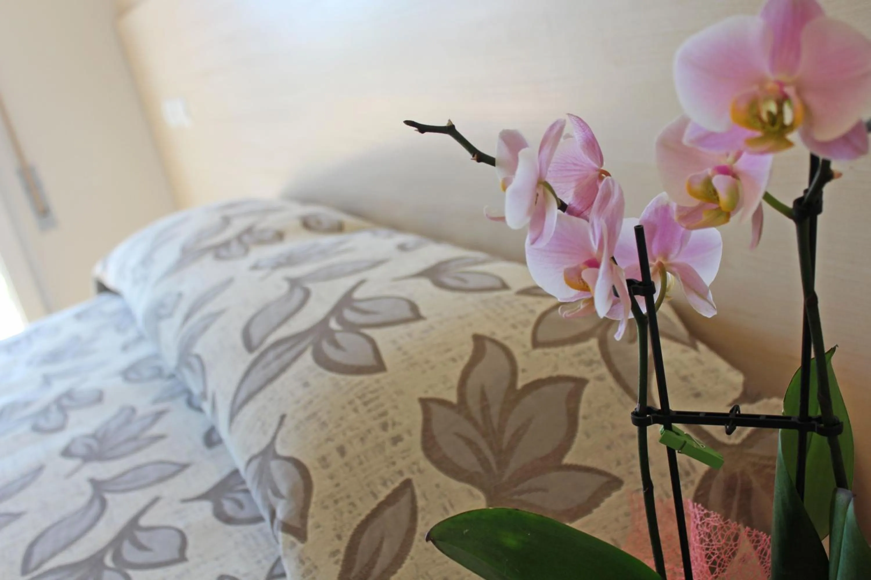 Bedroom in Hotel Silvia