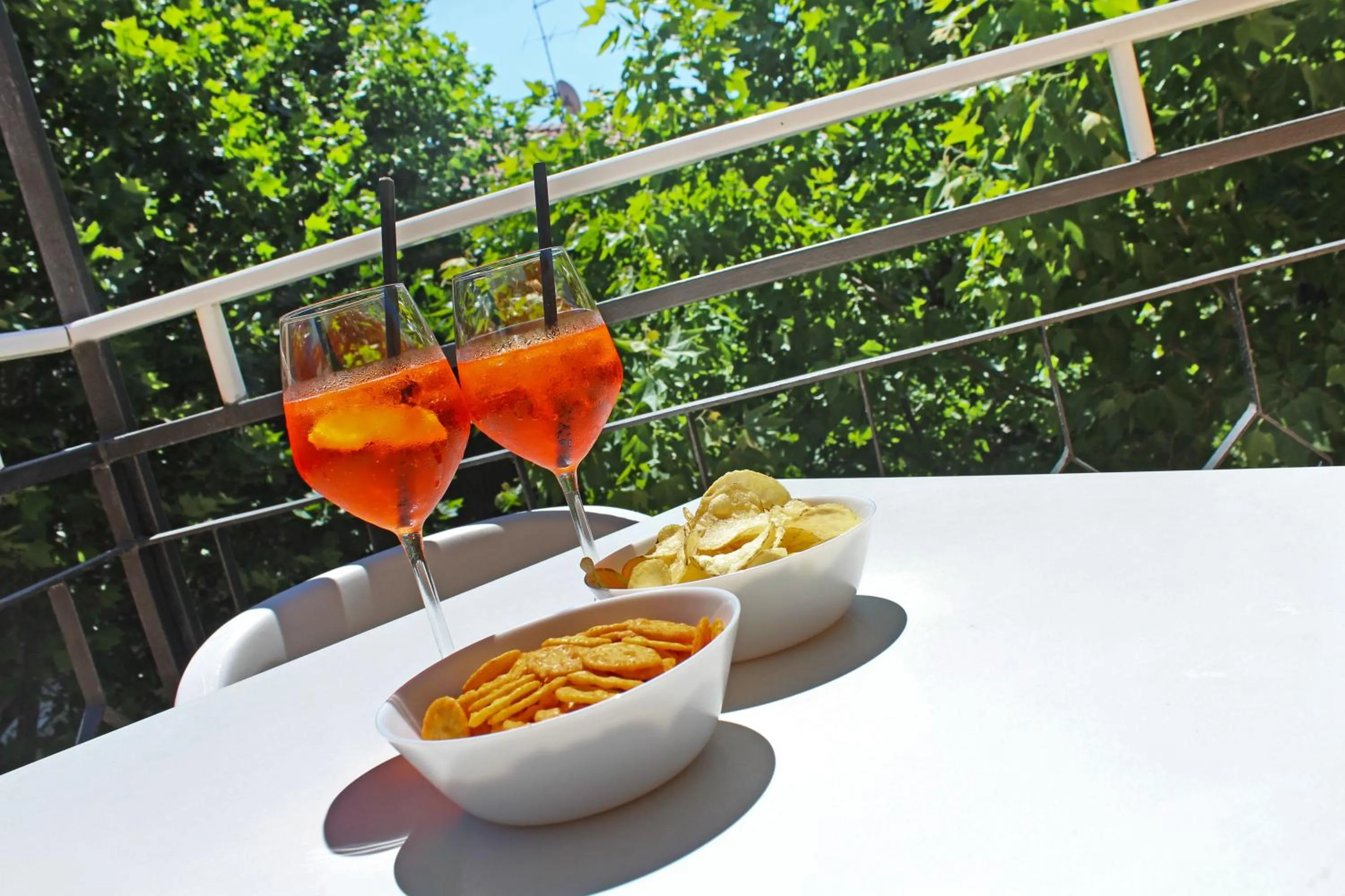 Balcony/Terrace in Hotel Silvia