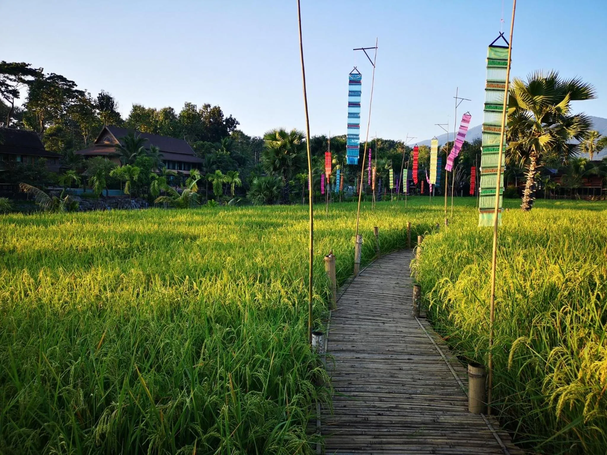 Natural landscape in Royal Train Garden Resort