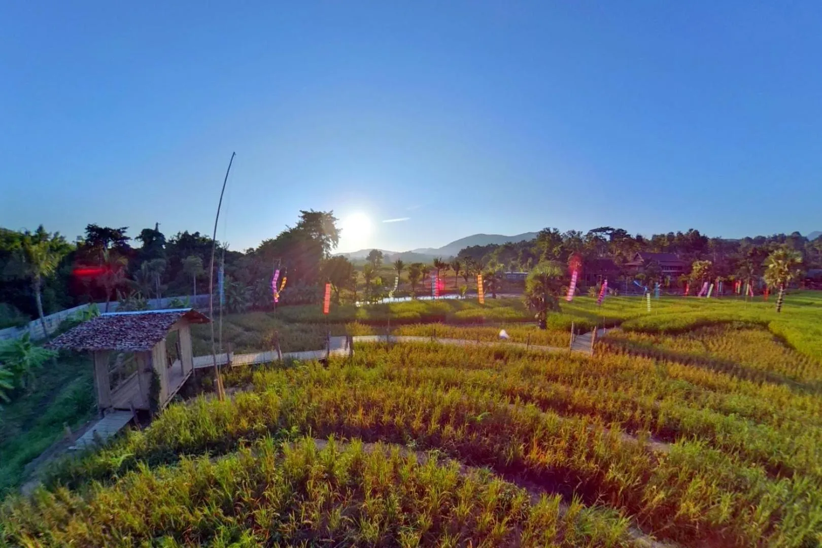 Bird's eye view in Royal Train Garden Resort