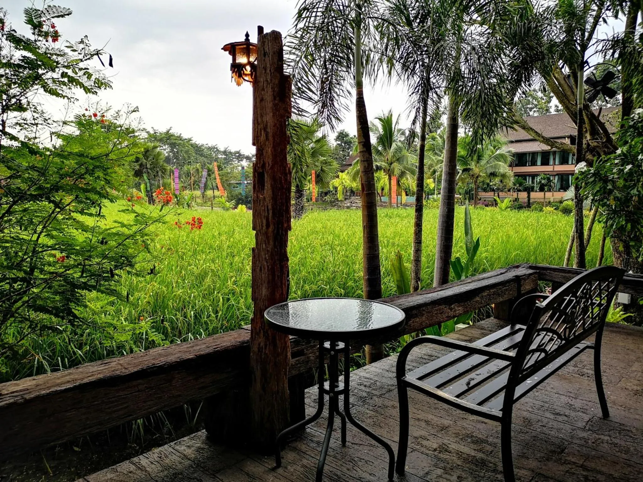 Garden view in Royal Train Garden Resort