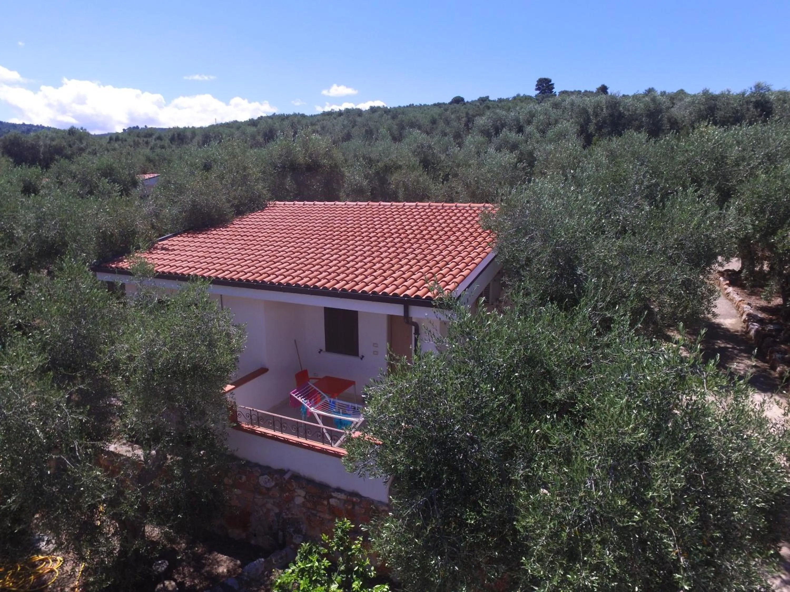 Patio in Zagare Residence