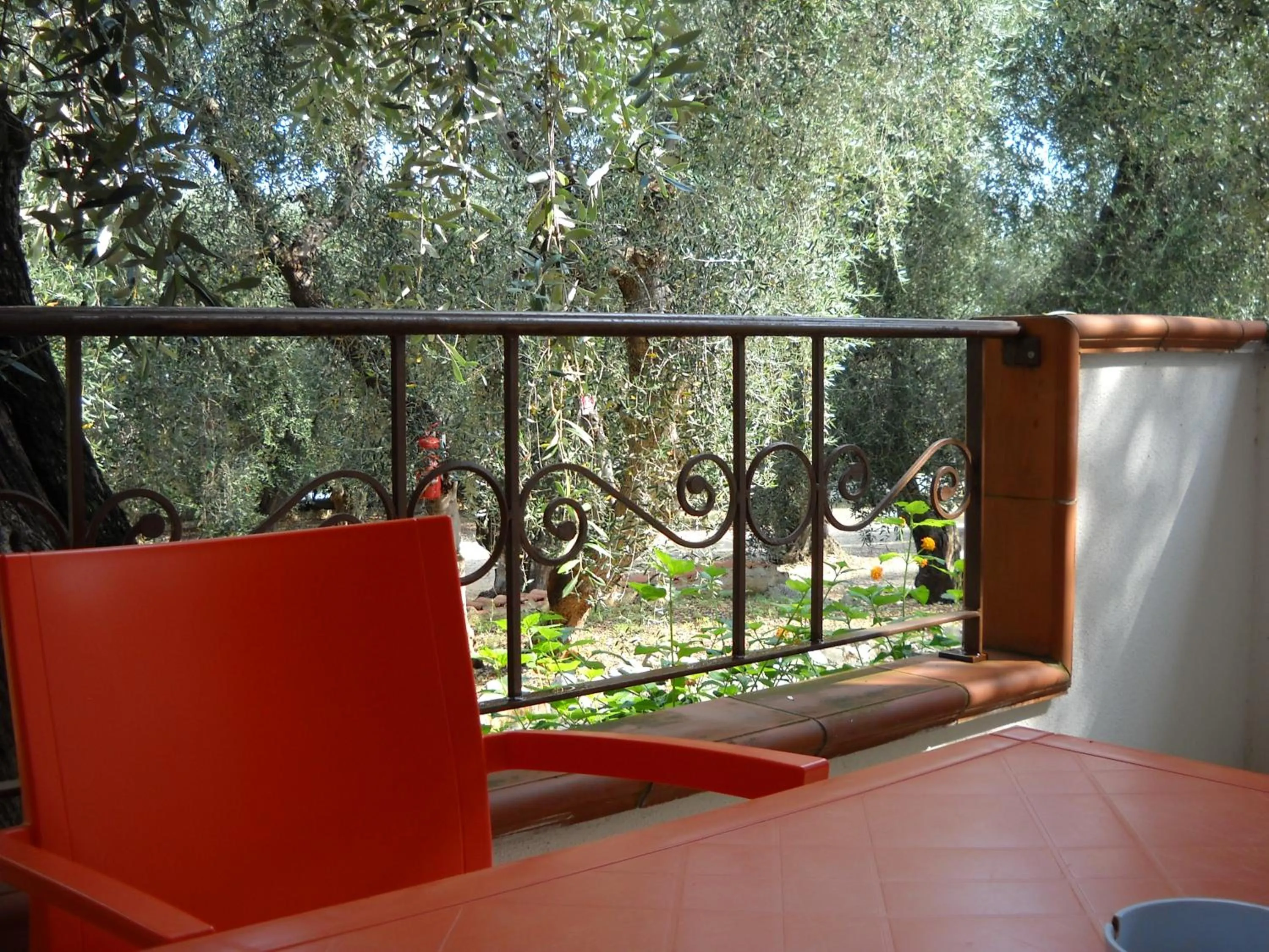 Garden view in Zagare Residence