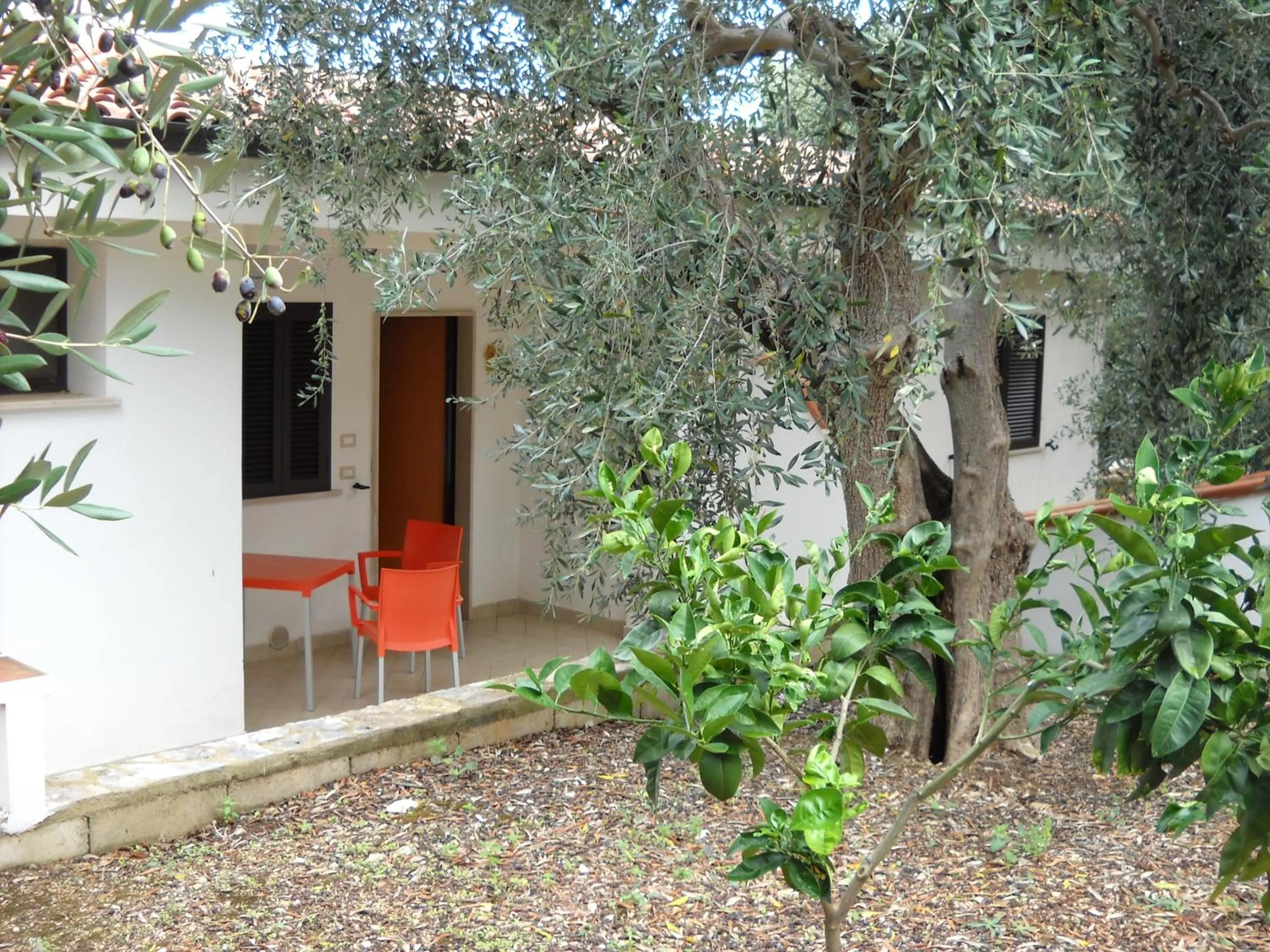 Patio in Zagare Residence