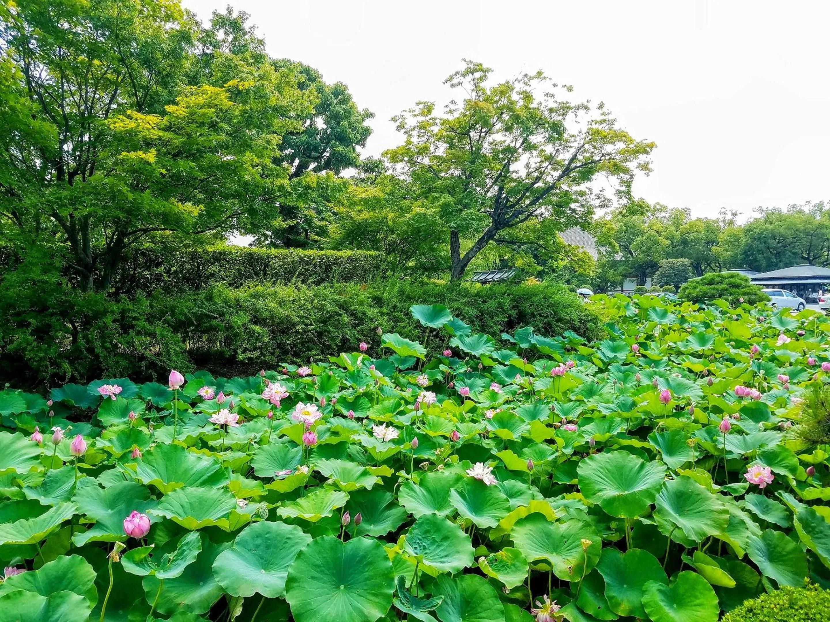 Stay SAKURA Kyoto Higashi Hongan-ji I