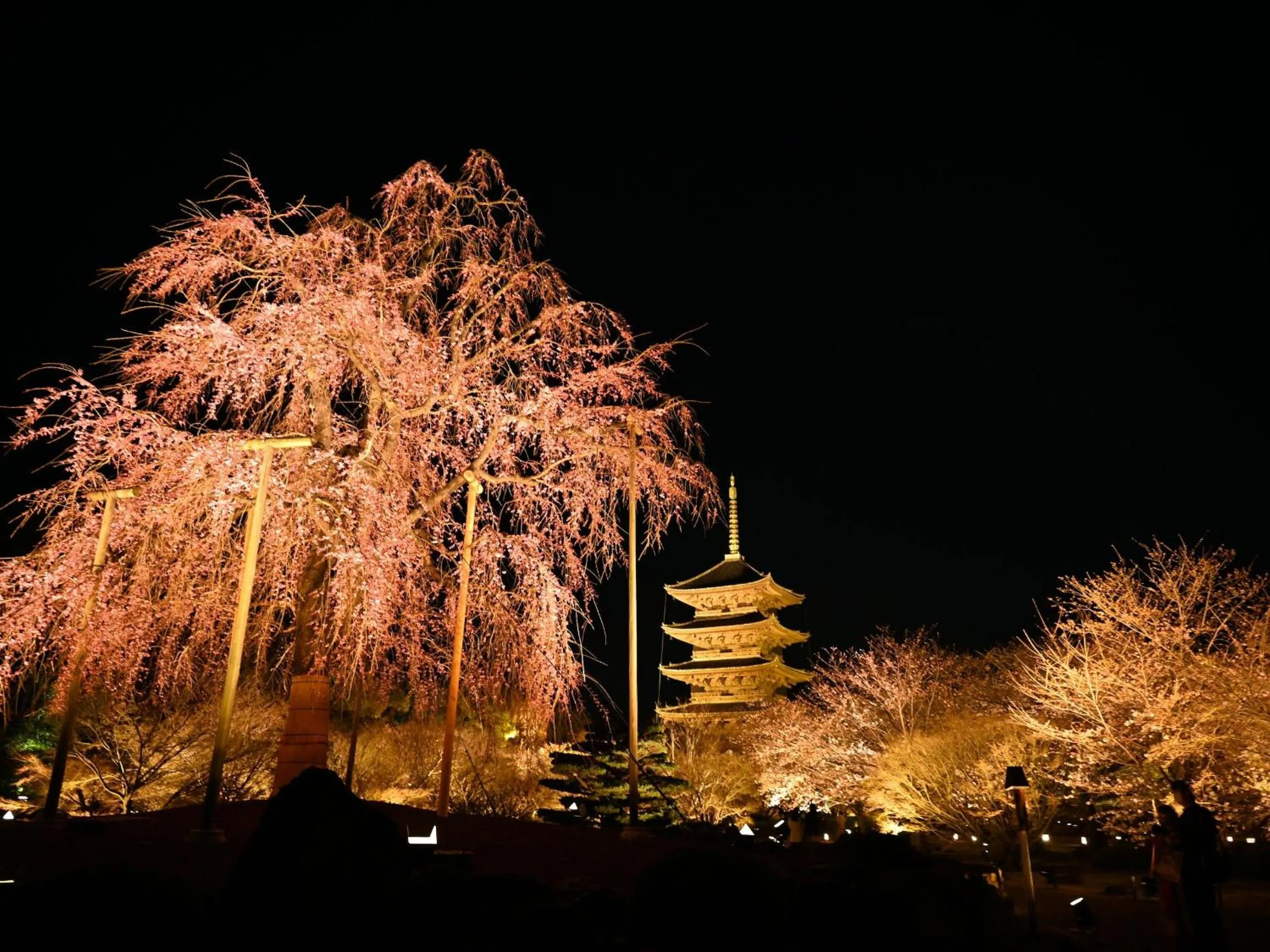 Stay SAKURA Kyoto Higashi Hongan-ji I