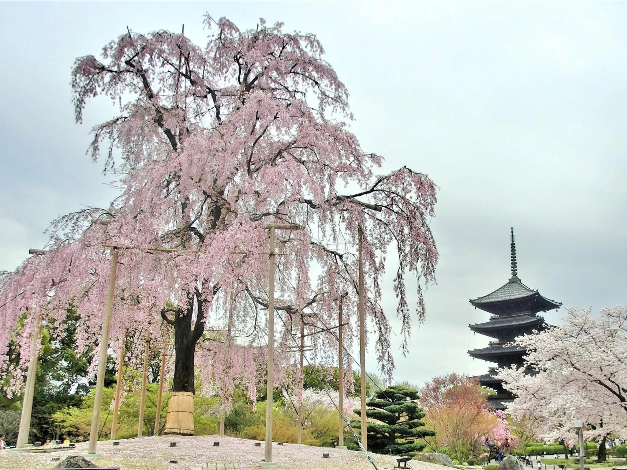 Stay SAKURA Kyoto Higashi Hongan-ji I