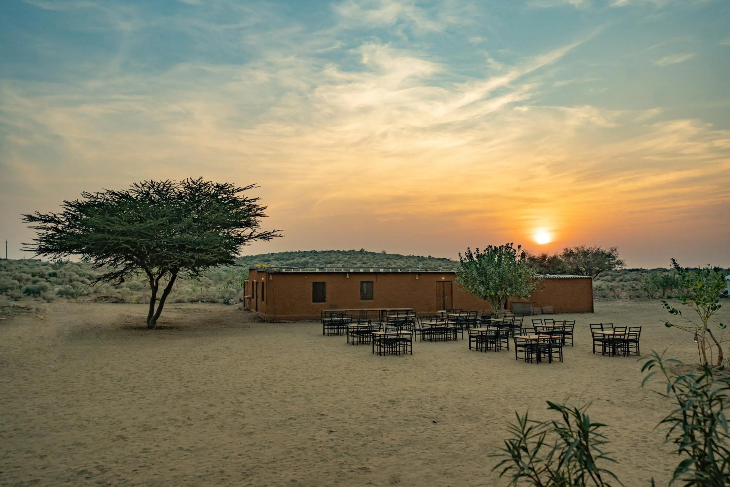 Restaurant/places to eat in Tripli Hotels Stay Inn Resort Jaisalmer