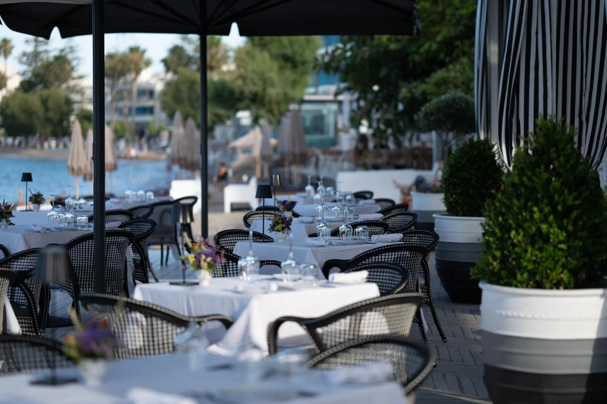 Restaurant/places to eat in Albergo Gelsomino