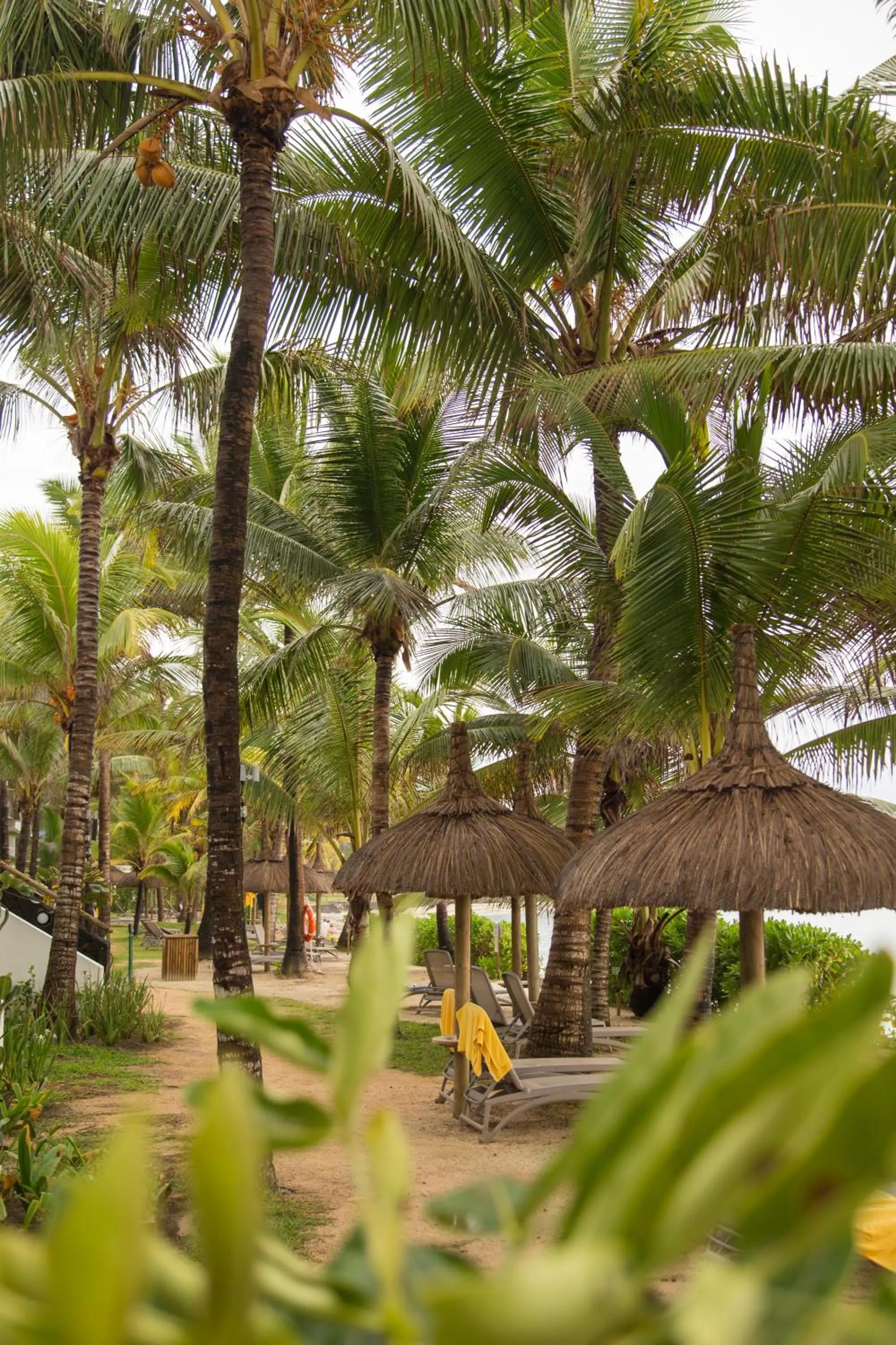 Garden in Tropical Attitude (Adults Only)