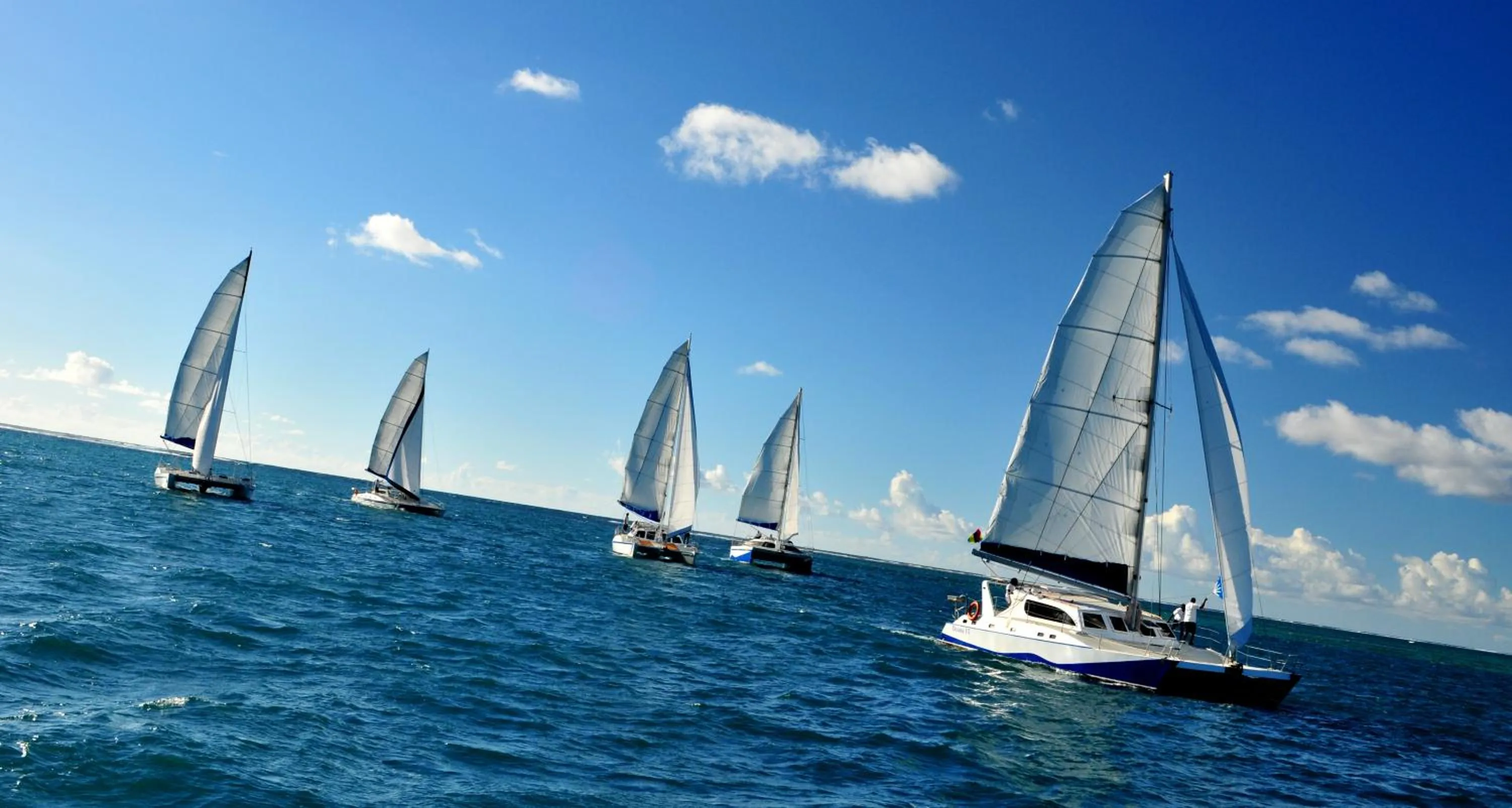 Other in Tropical Attitude (Adults Only)