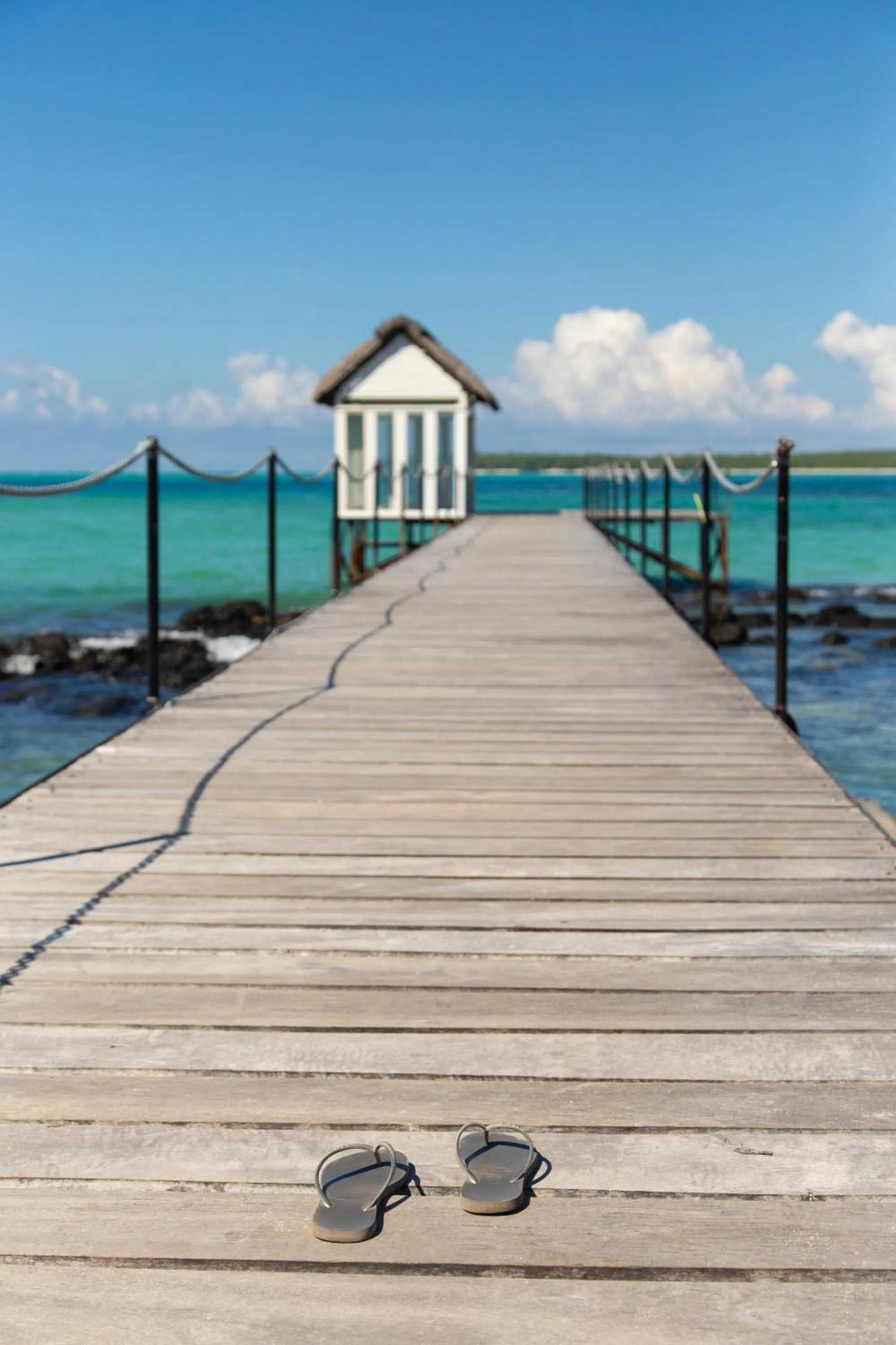 Activities in Tropical Attitude (Adults Only)