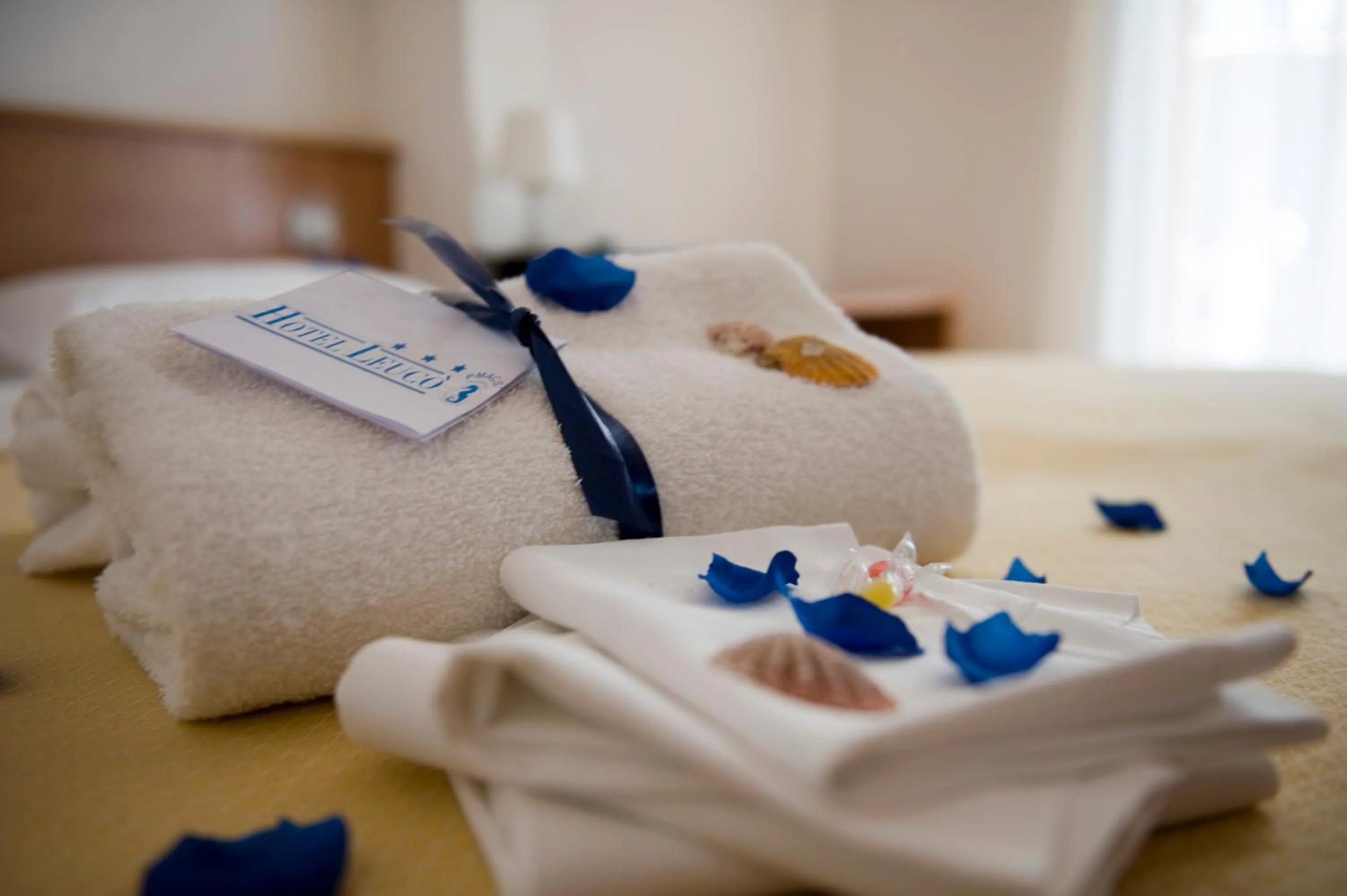 Decorative detail in Hotel Leuco'