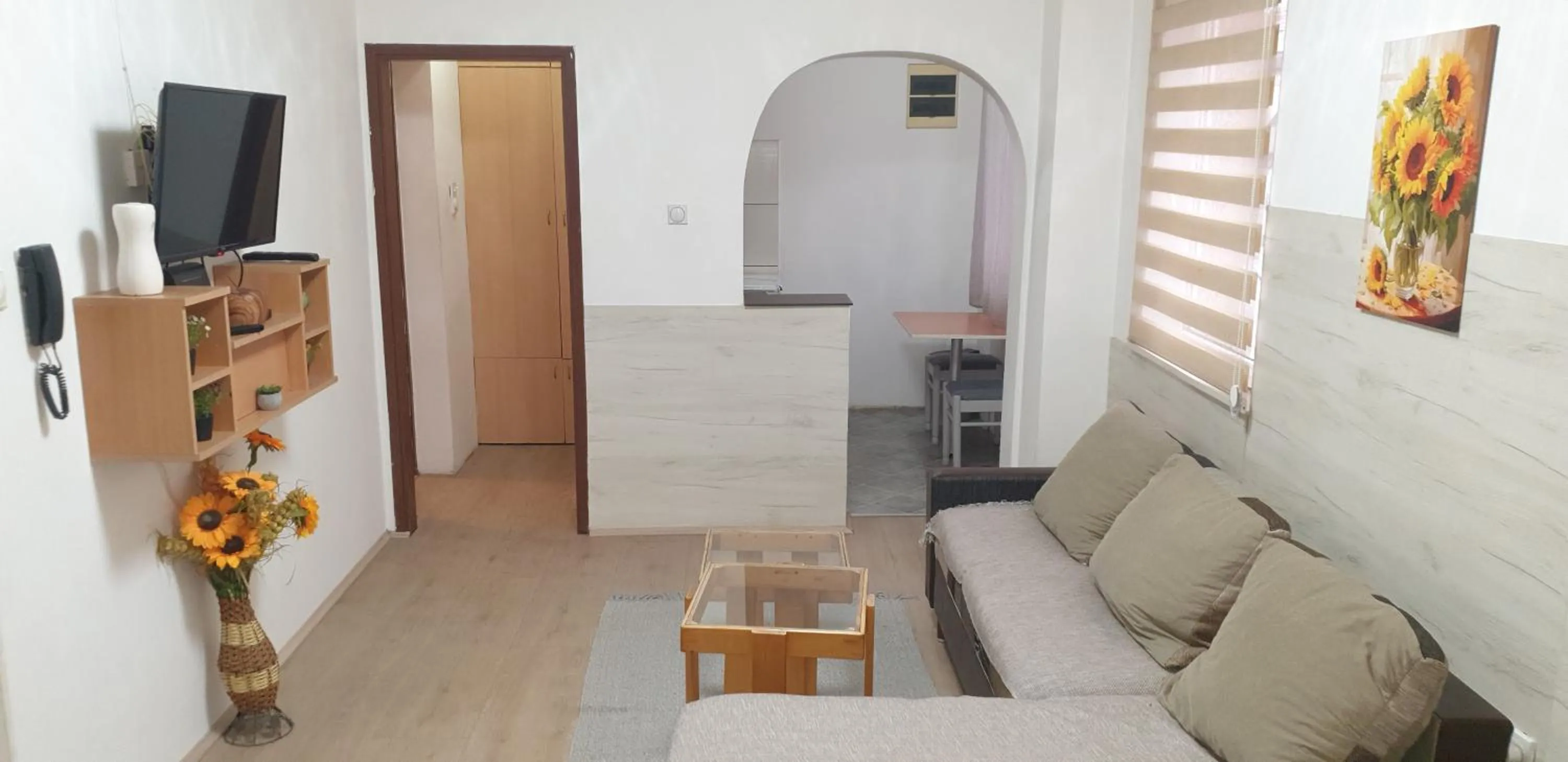 city center apartment 1