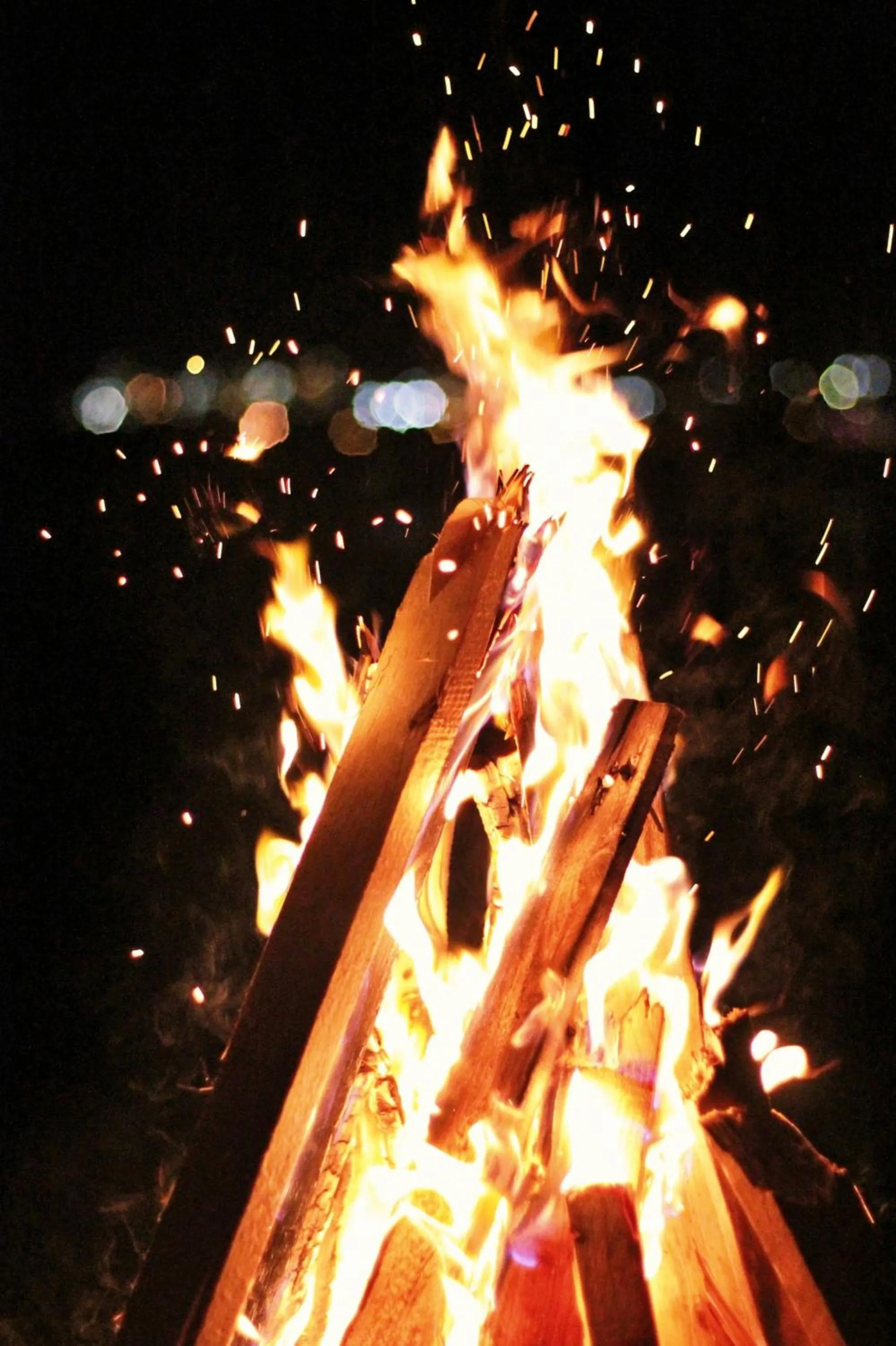 Hotel Hilltop At Mall Road Manali With Open Terrace