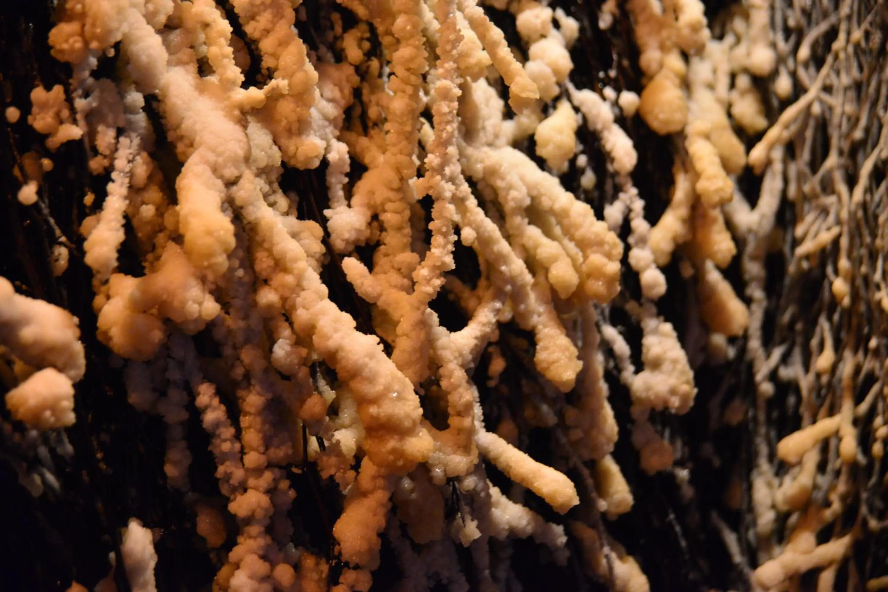 Spa and wellness centre/facilities in Centrum Restauracyjno-Hotelowe Florres