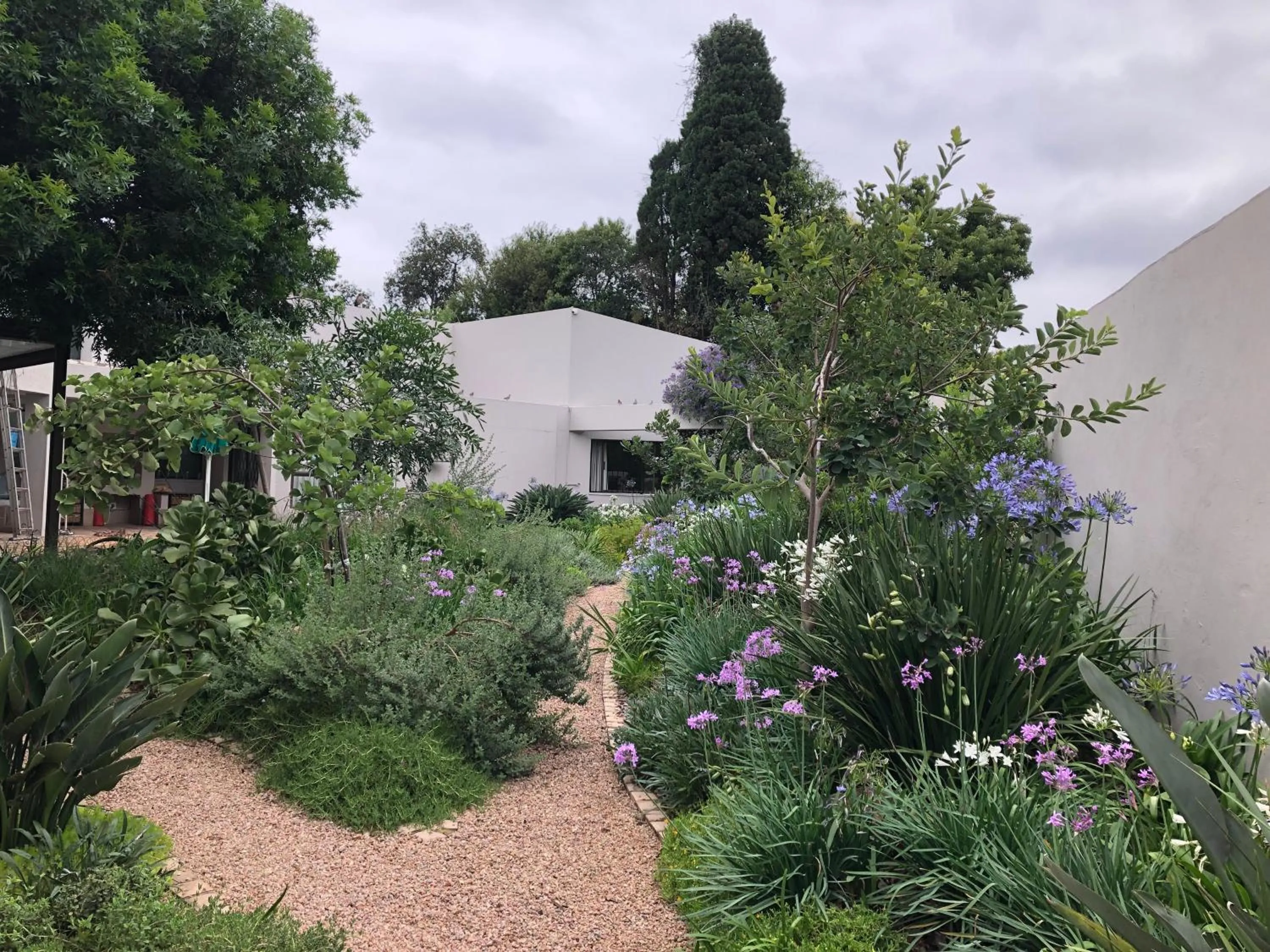 Garden in Sandton Slippers