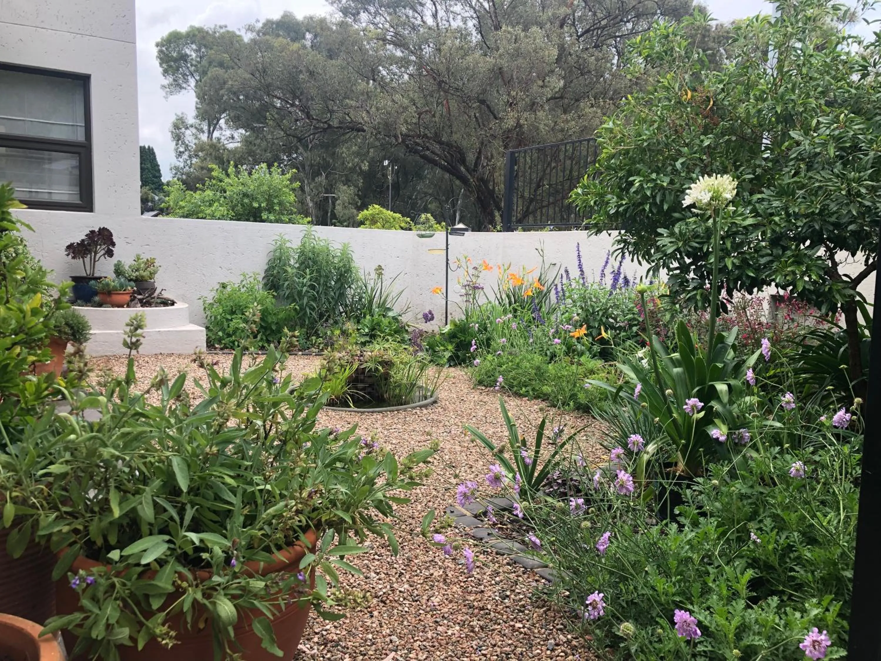 Garden in Sandton Slippers