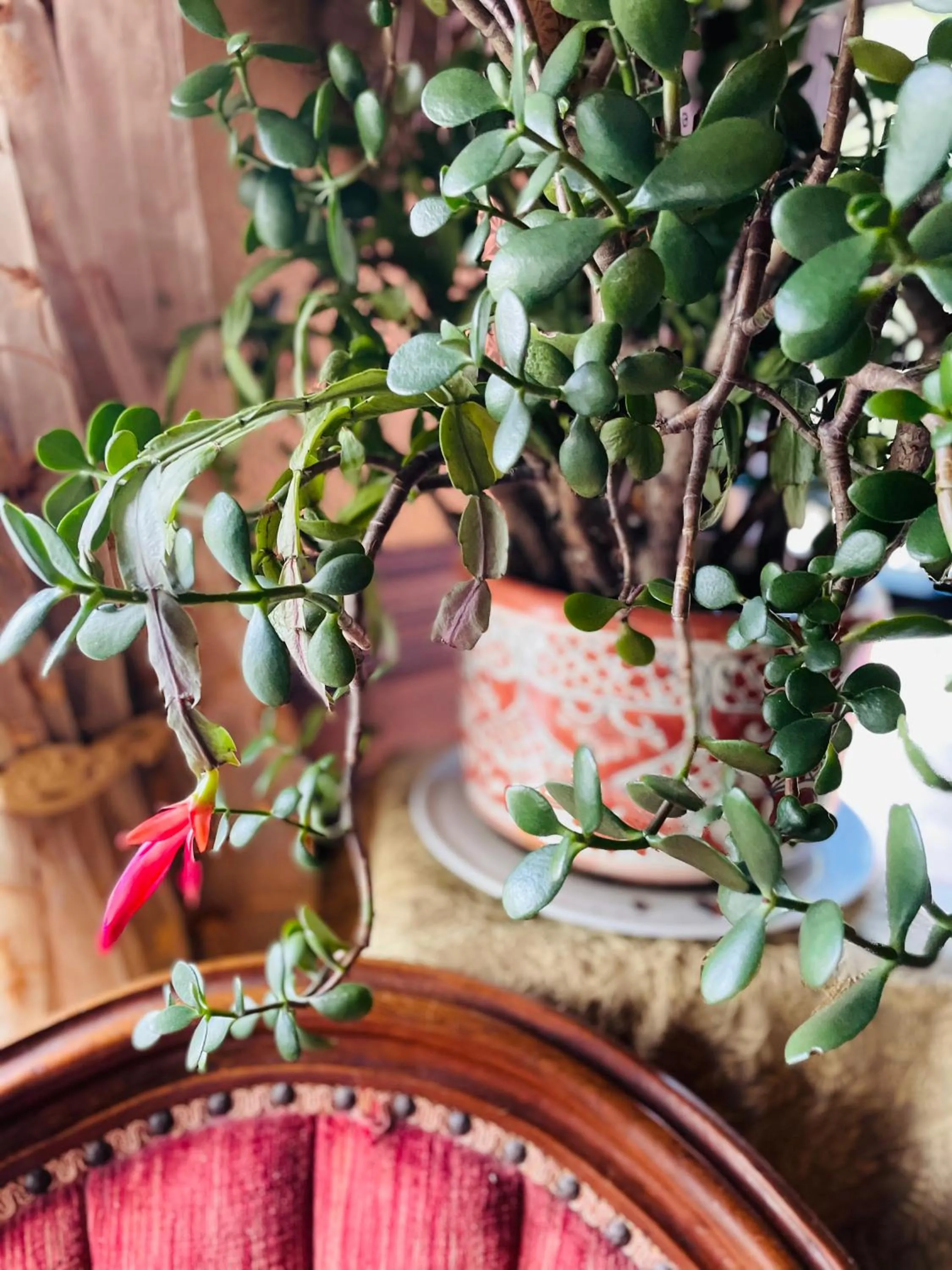 Property building in The Village Inn of Woodstock