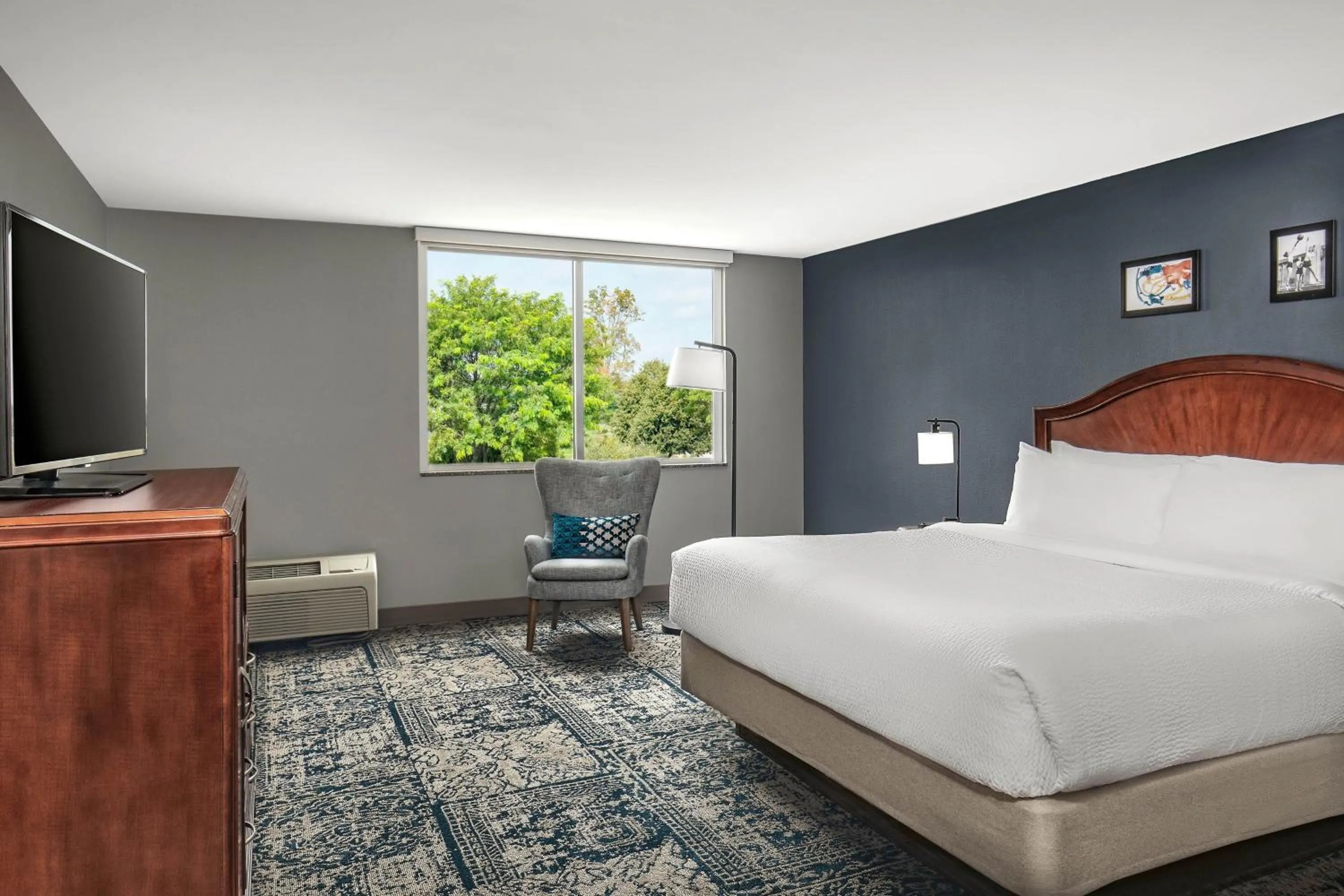 Photo of the whole room, Bed in Four Points by Sheraton Kalamazoo