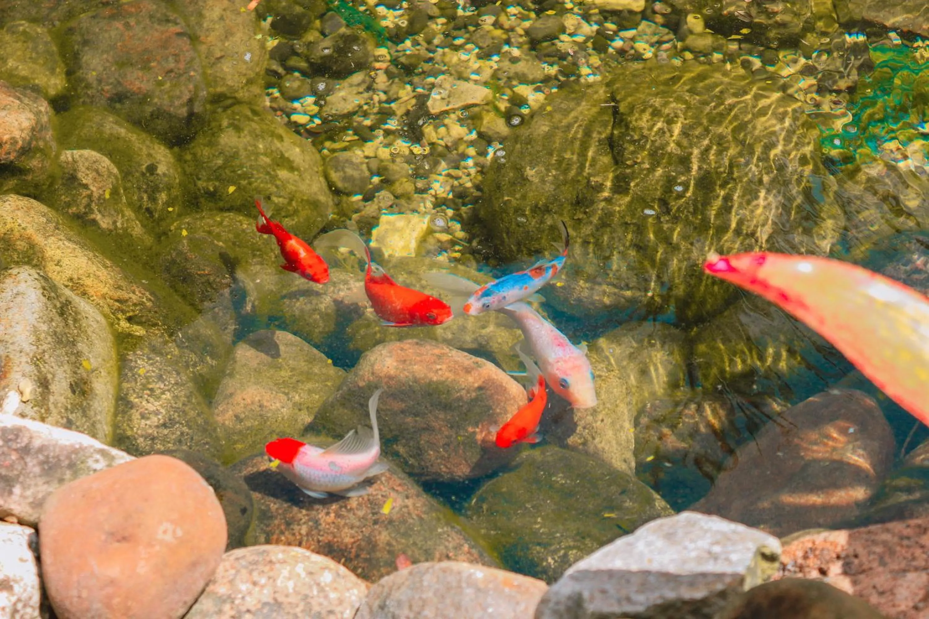 Day in Pousada Cacau