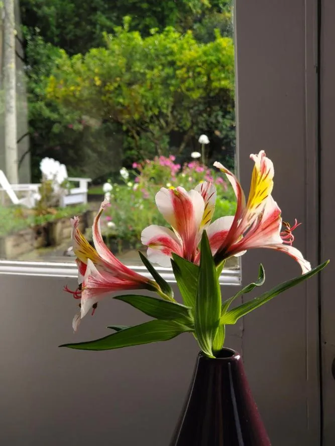 The Old Oak Boutique Hotel