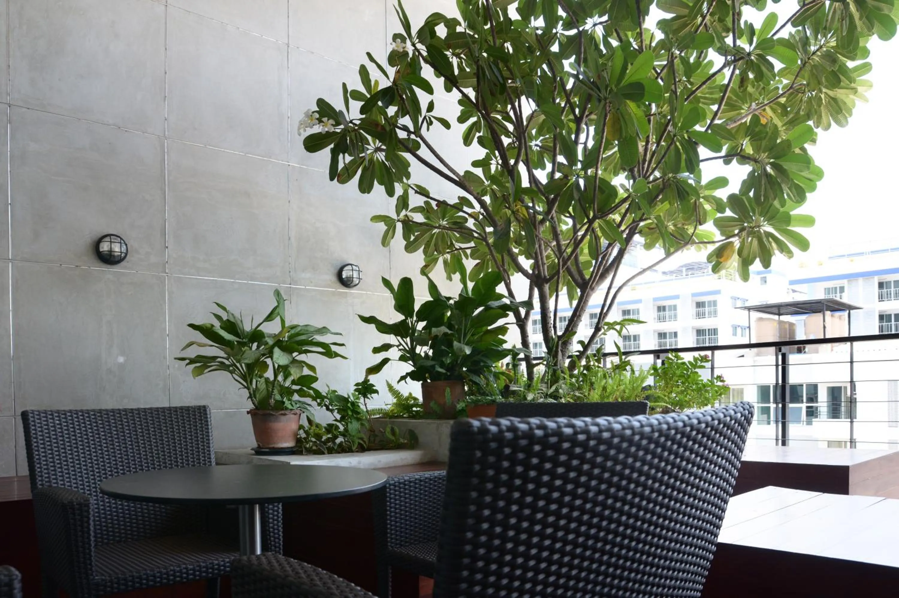 Garden in The September Salaya