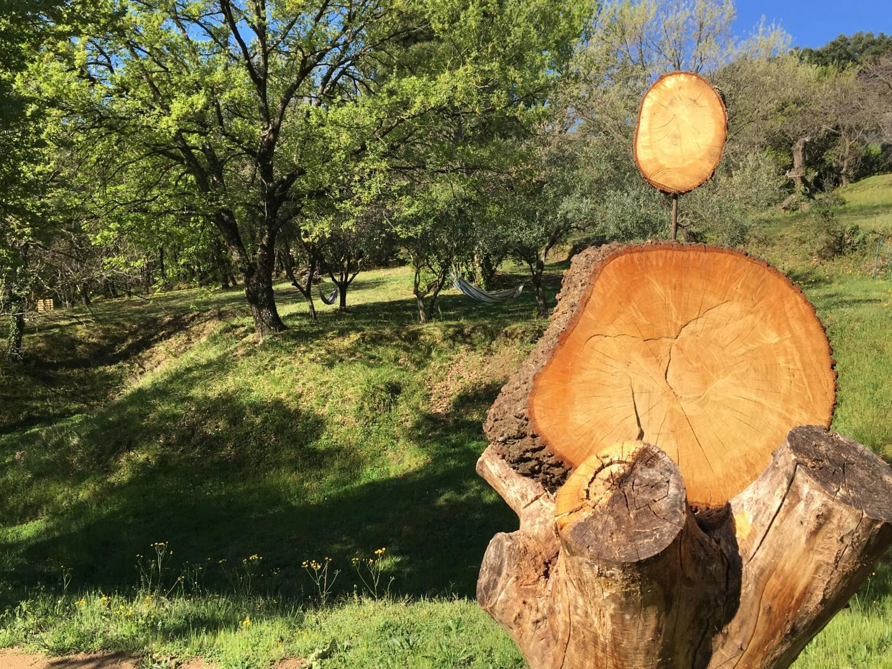 Property building in Villa Fontane Provence