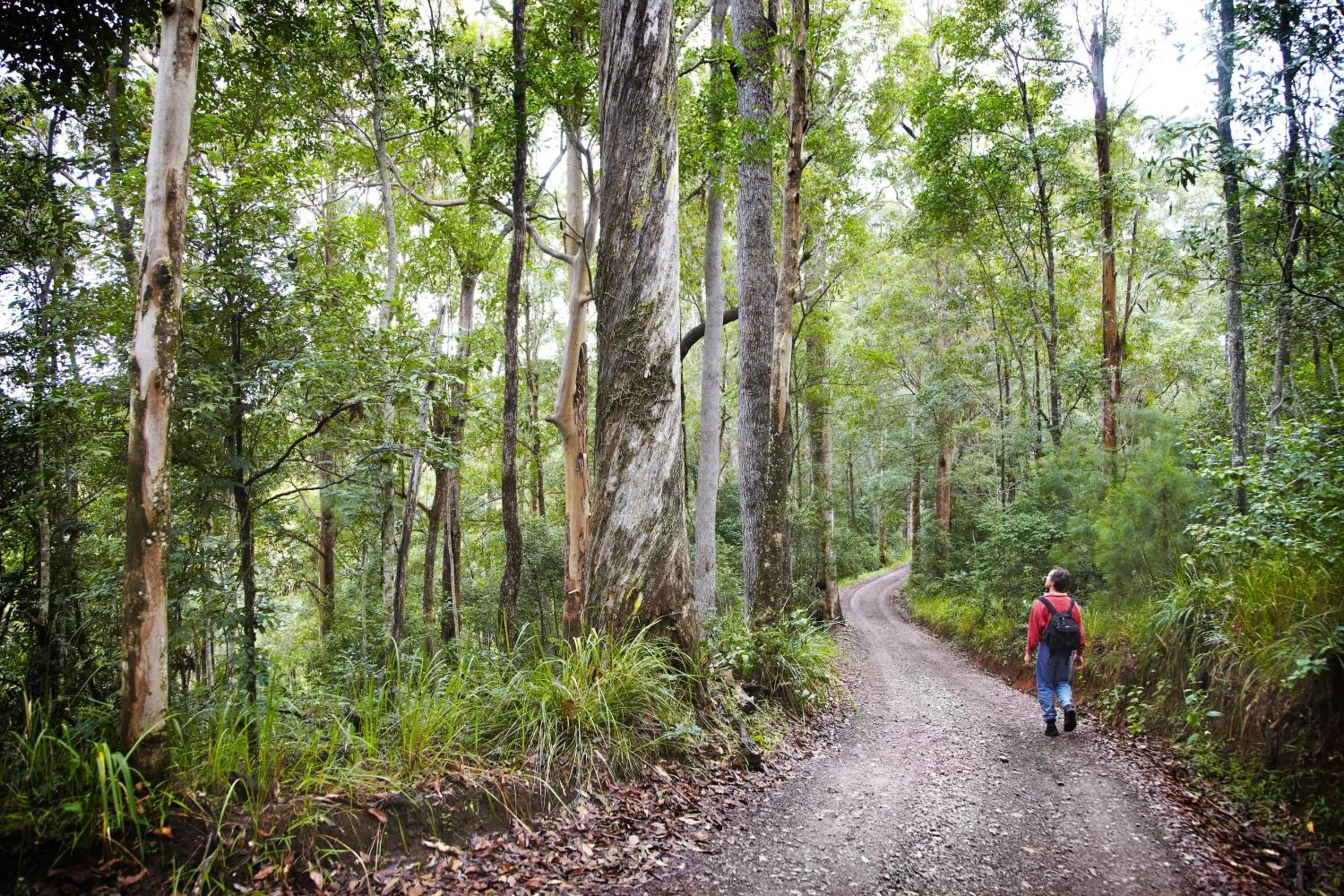 Hiking in Alaya Verde Bed & Breakfast