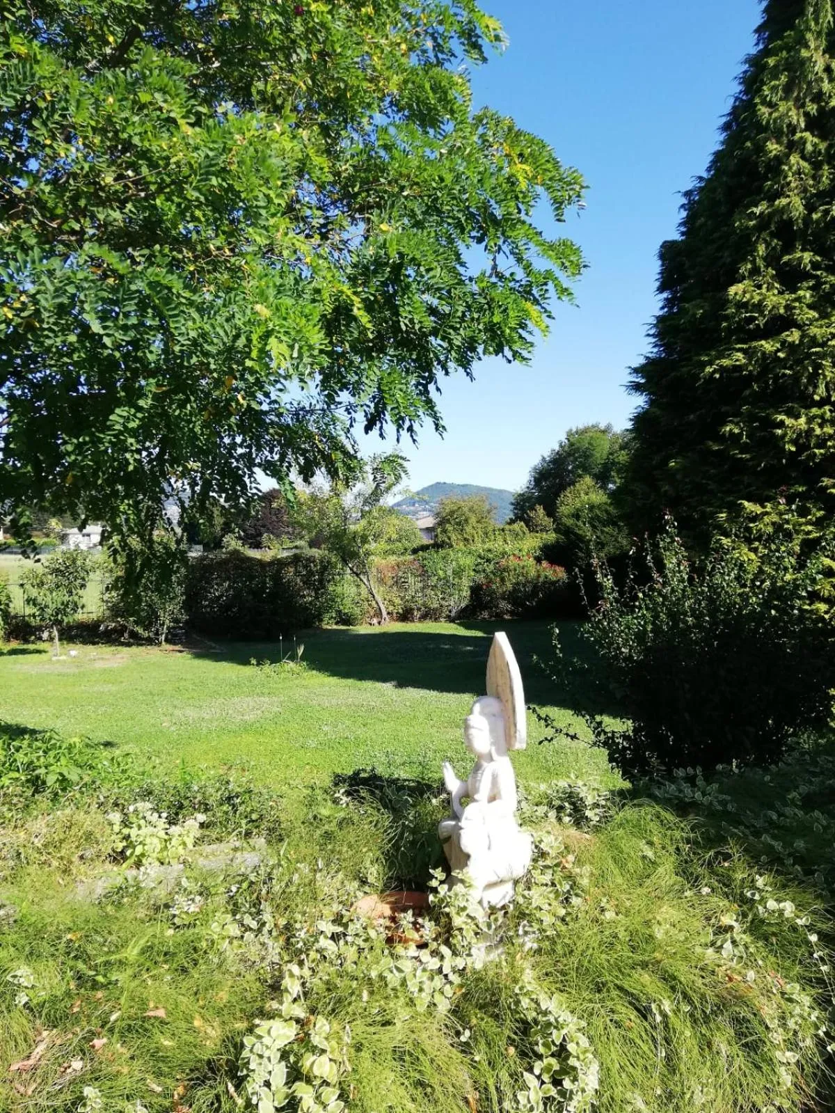 Property building in Oasi Degli Dei