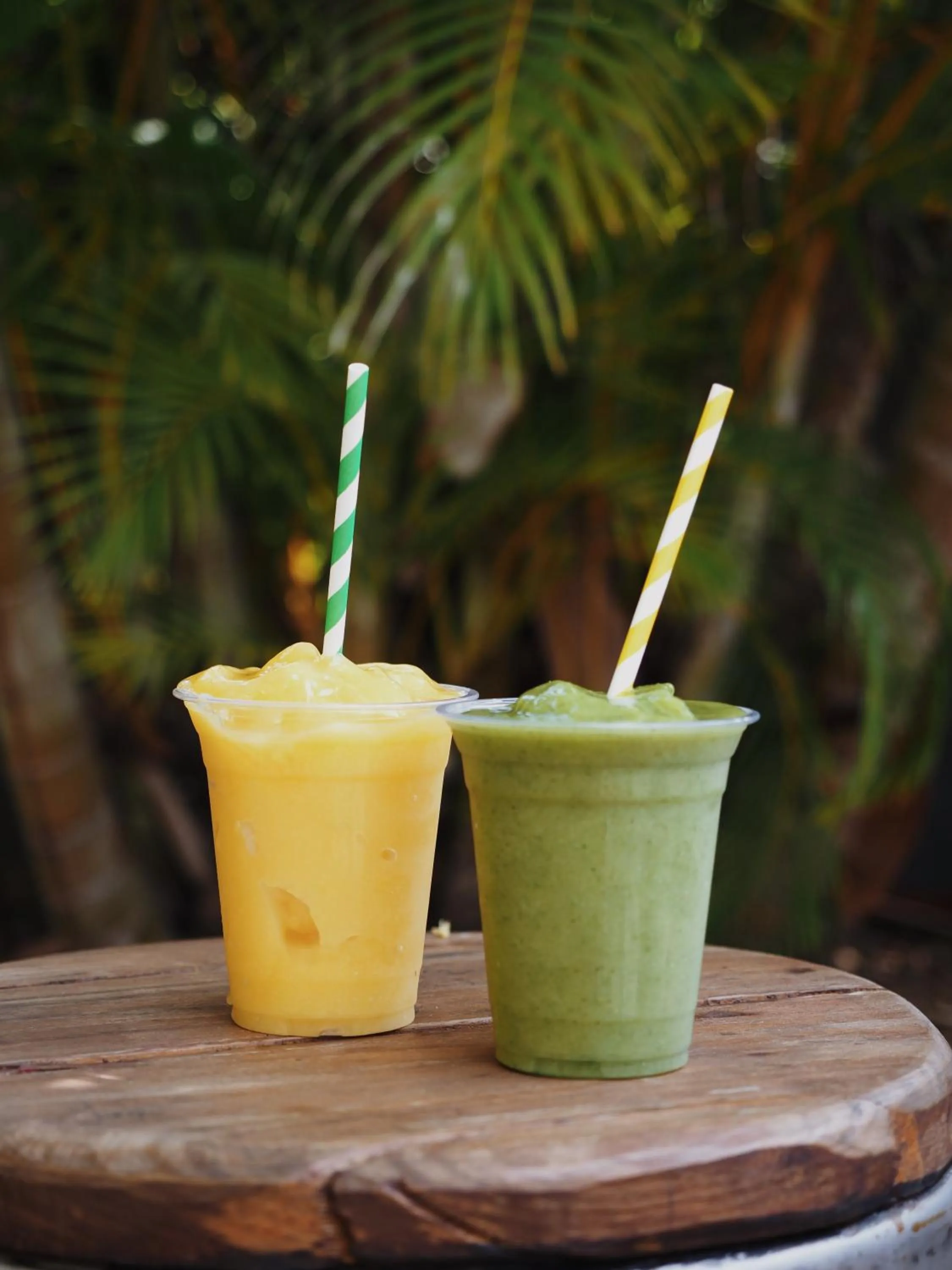 Drinks in Backpackers In Paradise 18-35 Hostel