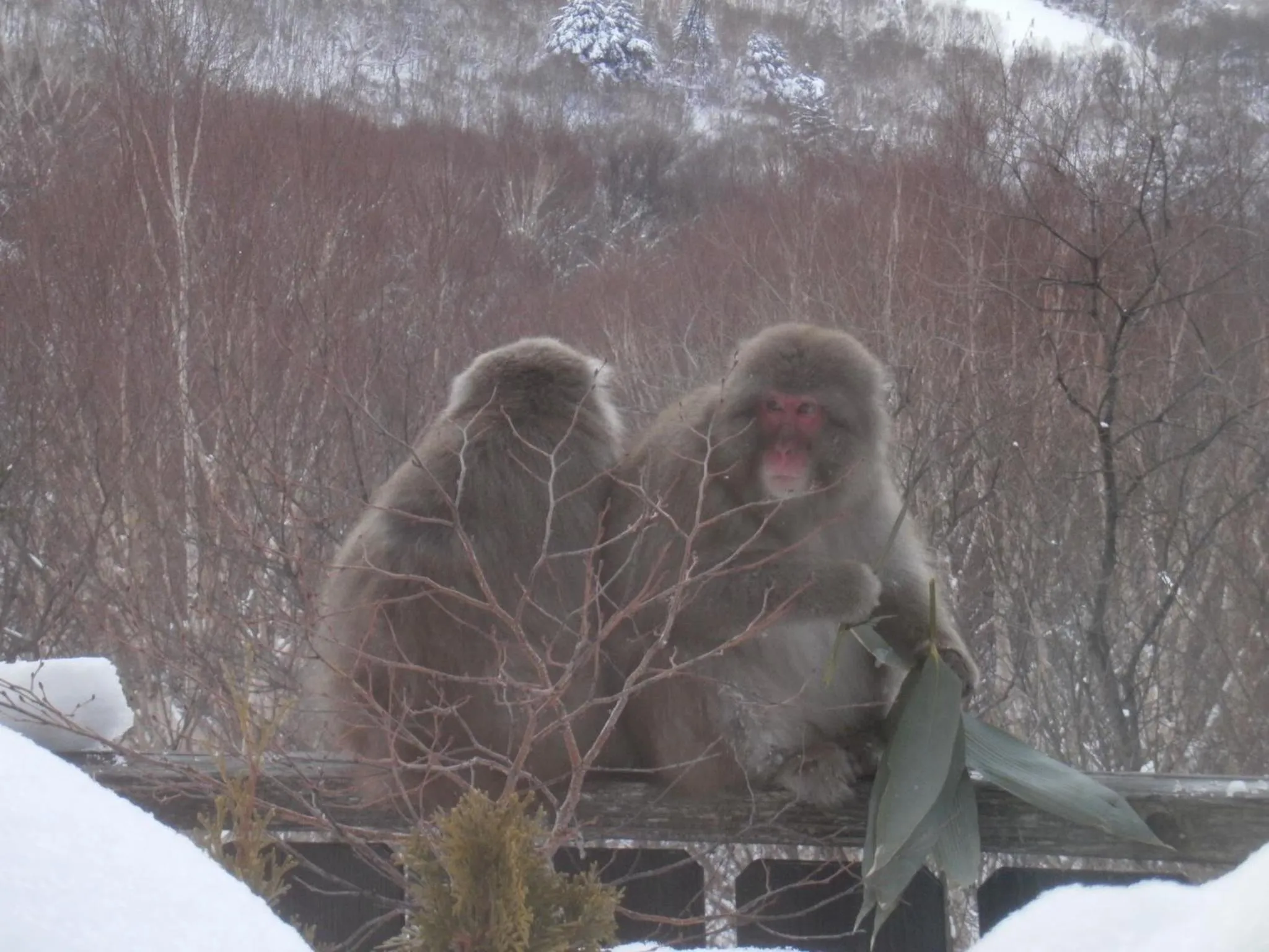 Other in Hotel Takimoto