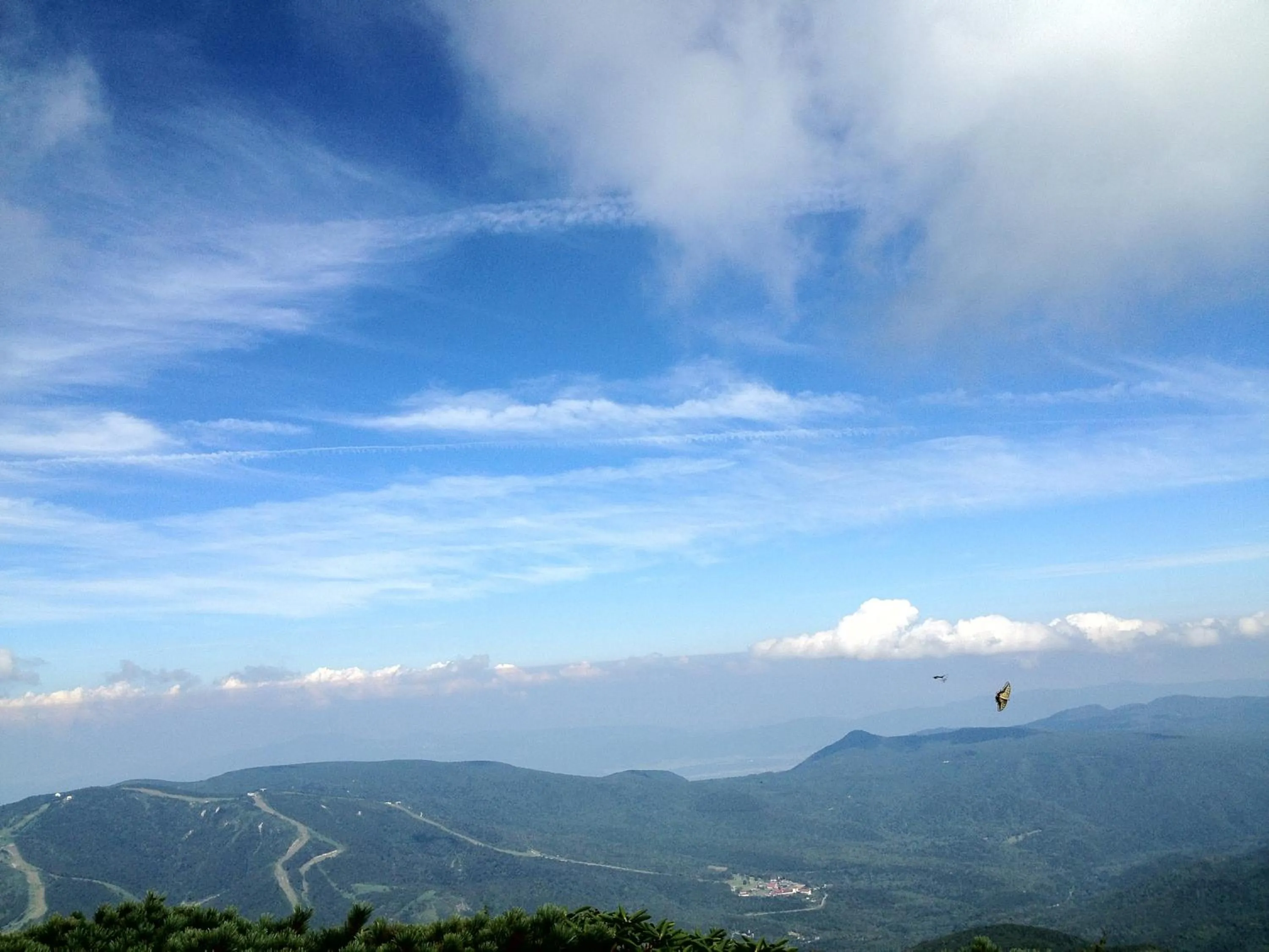 Area and facilities in Hotel Takimoto